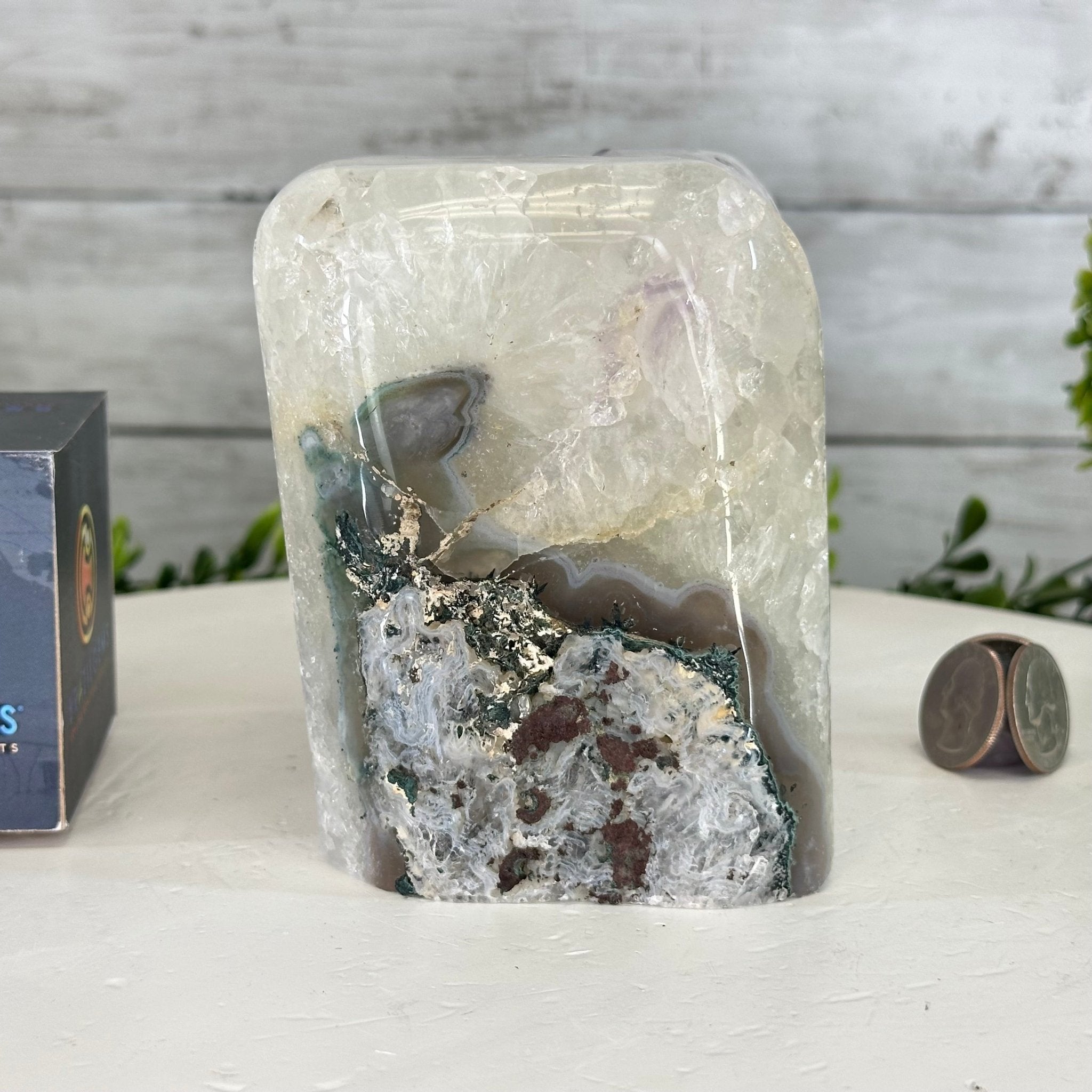 Drusy Amethyst Night Light 4 lbs & 4.4" Tall #5800AM-012 - Brazil GemsBrazil GemsDrusy Amethyst Night Light 4 lbs & 4.4" Tall #5800AM-012Night Lights5800AM-012