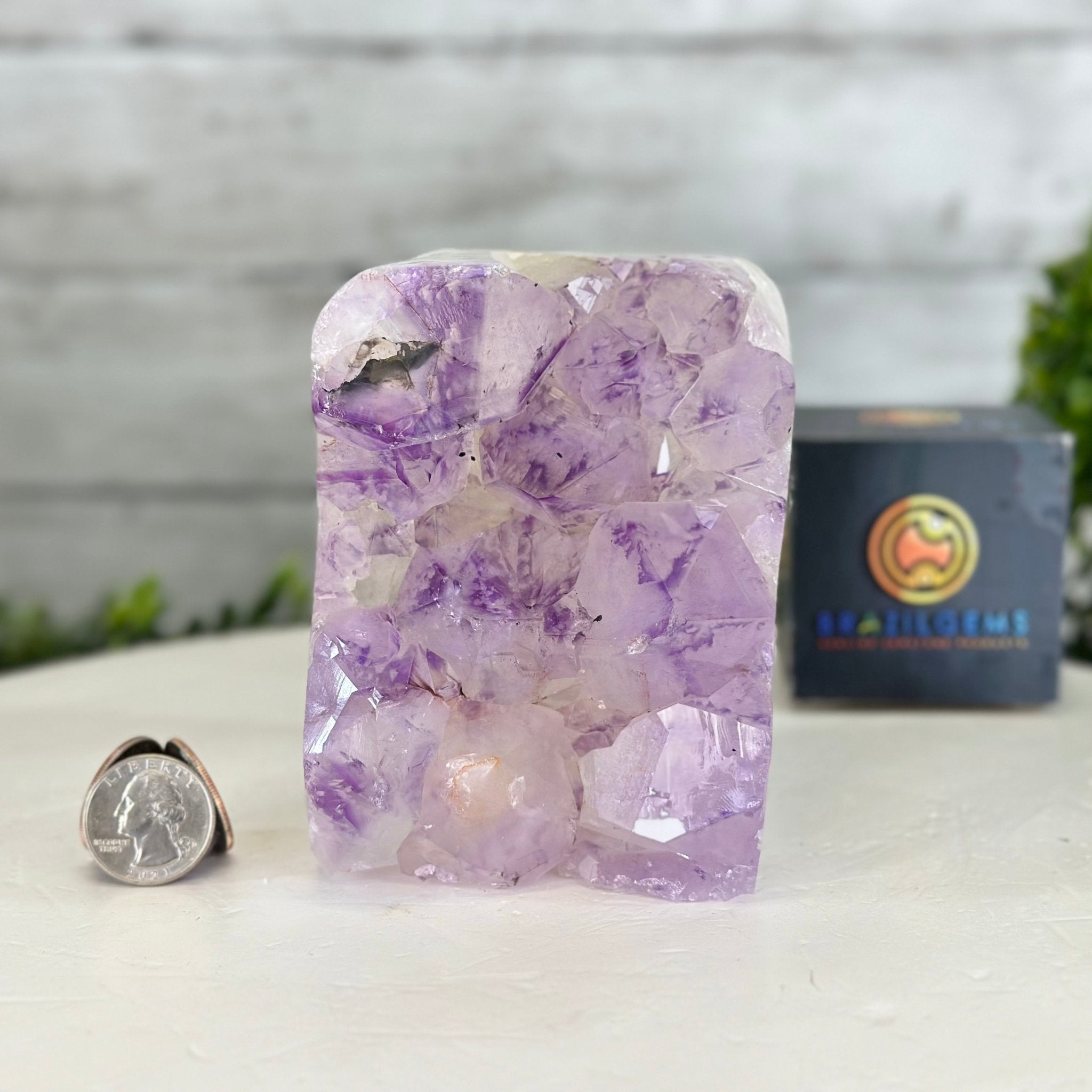 Drusy Amethyst Night Light 4 lbs & 4.4" Tall #5800AM-012 - Brazil GemsBrazil GemsDrusy Amethyst Night Light 4 lbs & 4.4" Tall #5800AM-012Night Lights5800AM-012