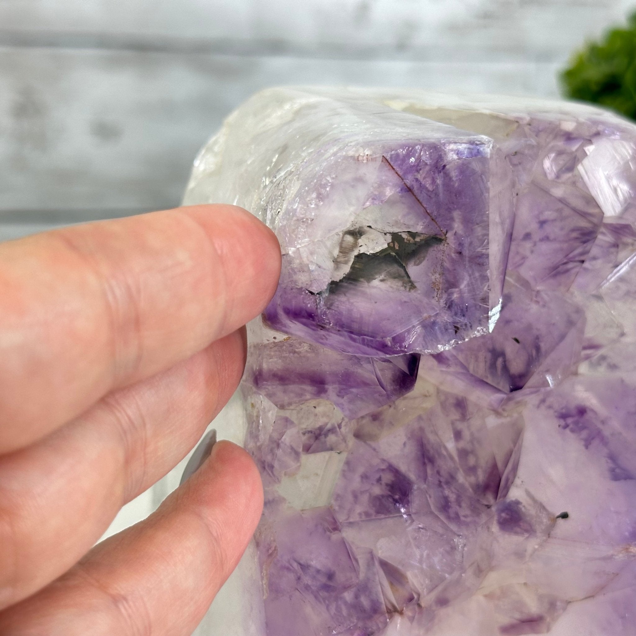 Drusy Amethyst Night Light 4 lbs & 4.4" Tall #5800AM-012 - Brazil GemsBrazil GemsDrusy Amethyst Night Light 4 lbs & 4.4" Tall #5800AM-012Night Lights5800AM-012