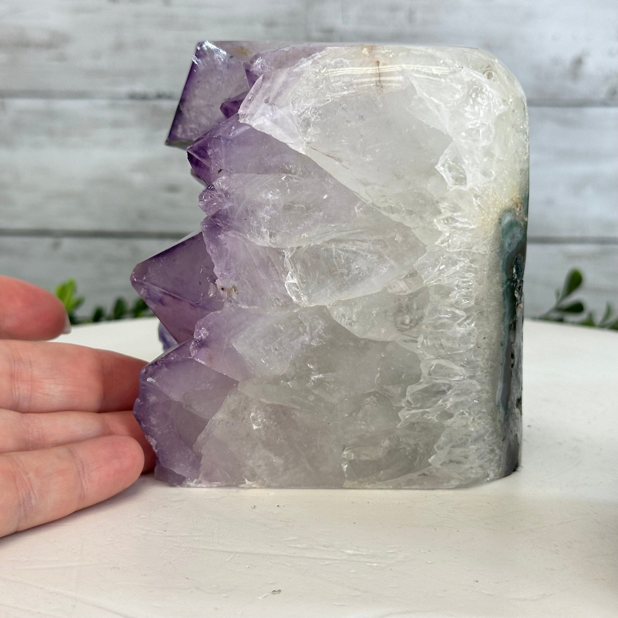 Drusy Amethyst Night Light 4 lbs & 4.4" Tall #5800AM-012 - Brazil GemsBrazil GemsDrusy Amethyst Night Light 4 lbs & 4.4" Tall #5800AM-012Night Lights5800AM-012