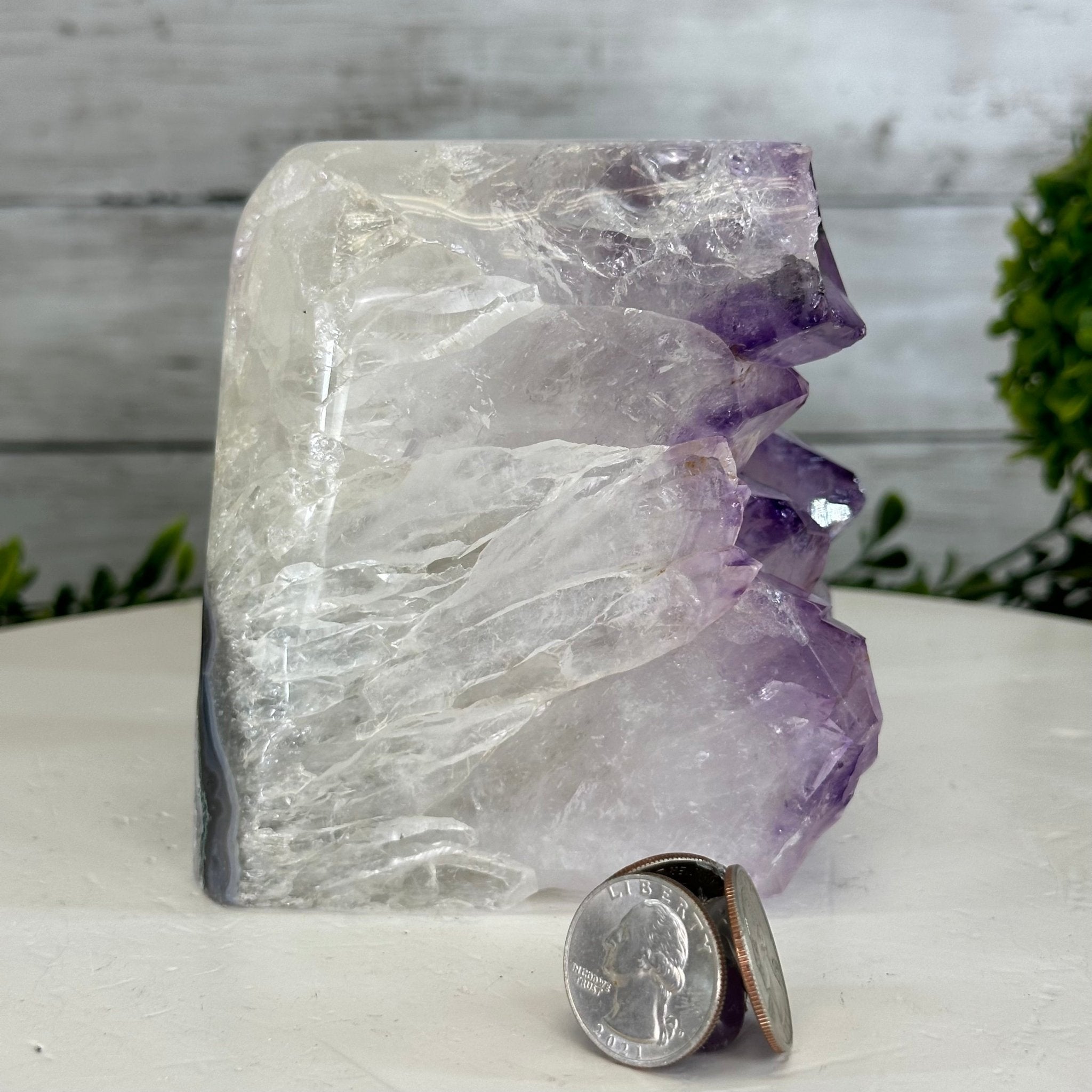 Drusy Amethyst Night Light 4 lbs & 4.4" Tall #5800AM-012 - Brazil GemsBrazil GemsDrusy Amethyst Night Light 4 lbs & 4.4" Tall #5800AM-012Night Lights5800AM-012