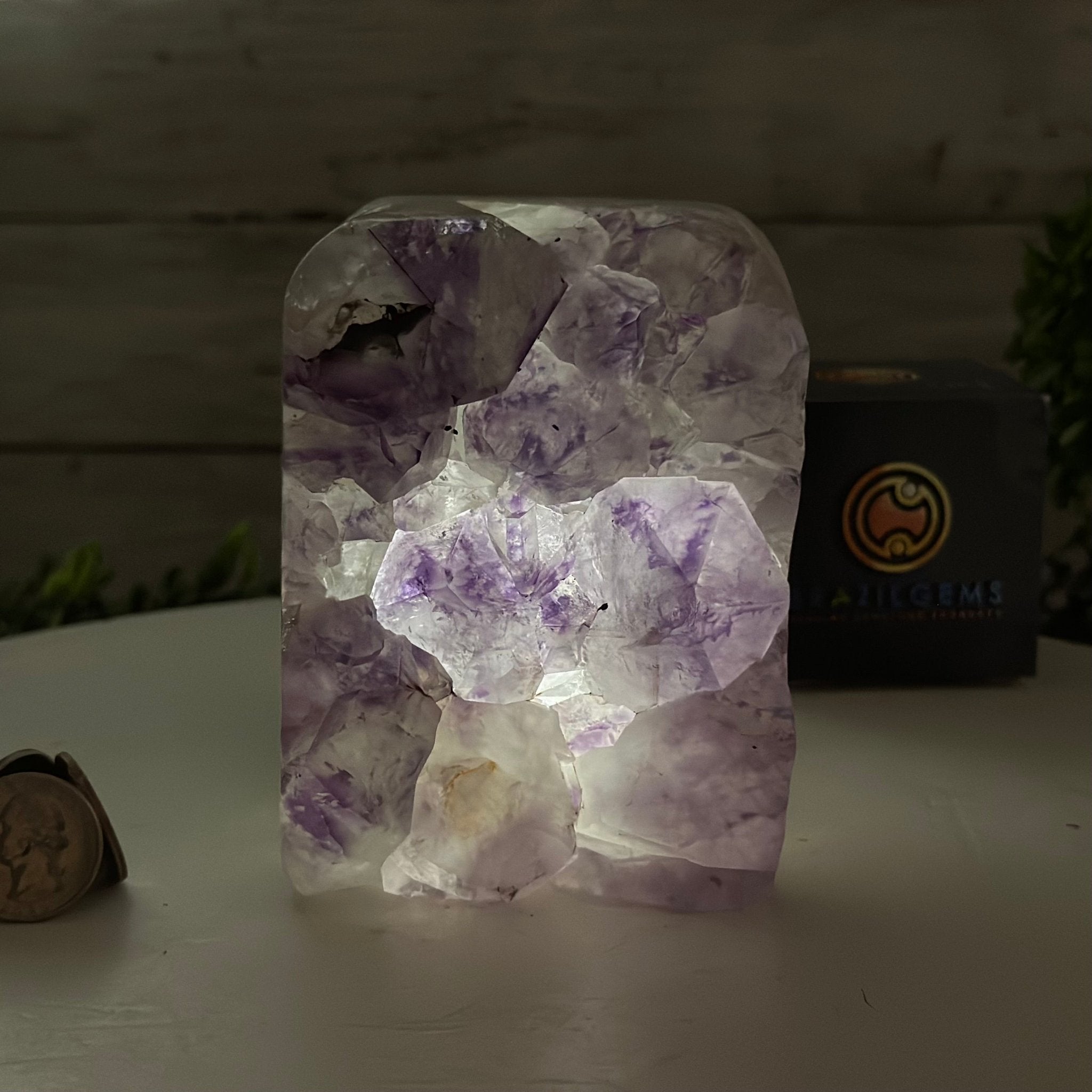 Drusy Amethyst Night Light 4 lbs & 4.4" Tall #5800AM-012 - Brazil GemsBrazil GemsDrusy Amethyst Night Light 4 lbs & 4.4" Tall #5800AM-012Night Lights5800AM-012