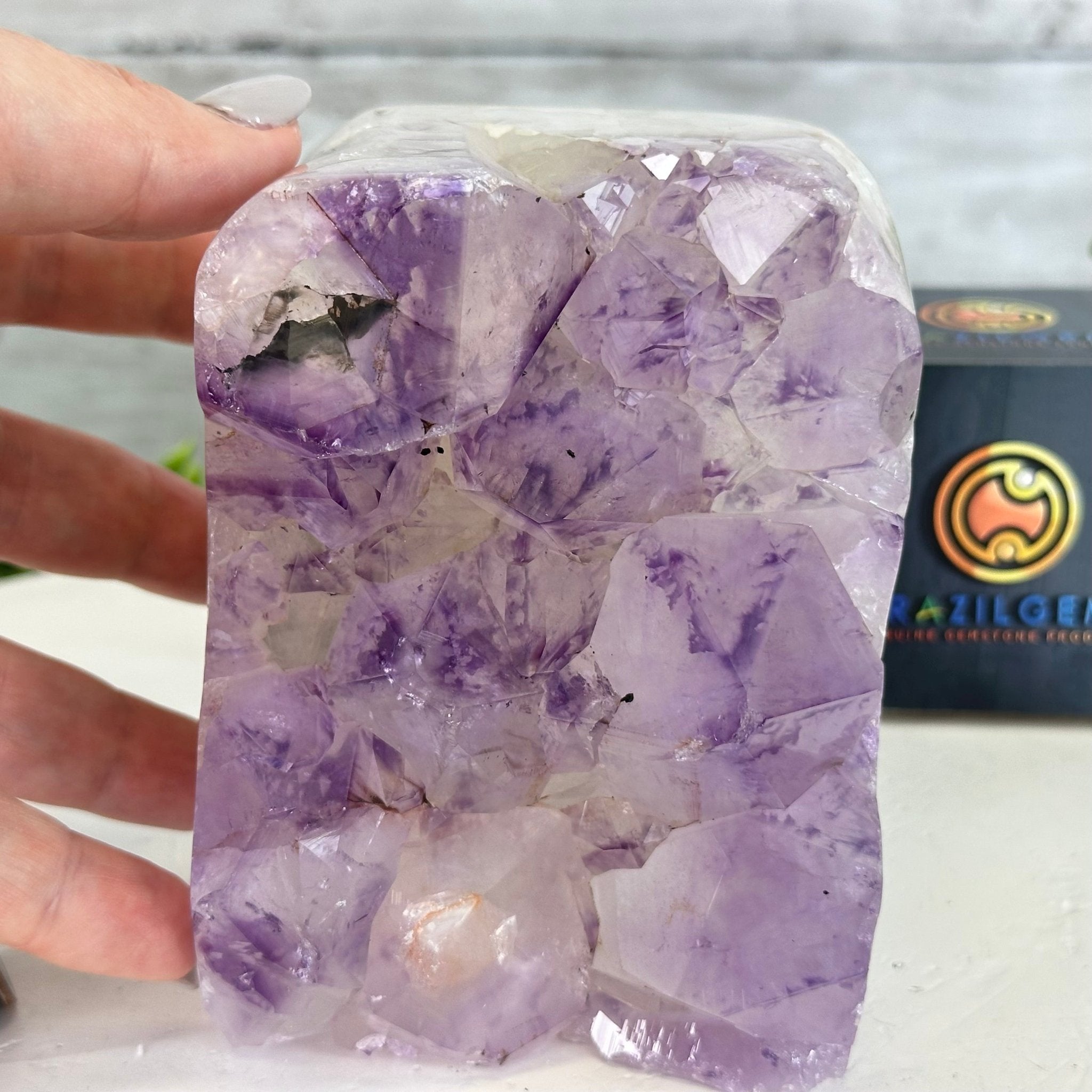 Drusy Amethyst Night Light 4 lbs & 4.4" Tall #5800AM-012 - Brazil GemsBrazil GemsDrusy Amethyst Night Light 4 lbs & 4.4" Tall #5800AM-012Night Lights5800AM-012