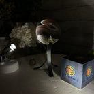 Druzy Agate Sphere on a Metal Stand, 1.3 lbs & 6.7" Tall #5634-0007 - Brazil GemsBrazil GemsDruzy Agate Sphere on a Metal Stand, 1.3 lbs & 6.7" Tall #5634-0007Spheres5634-0007