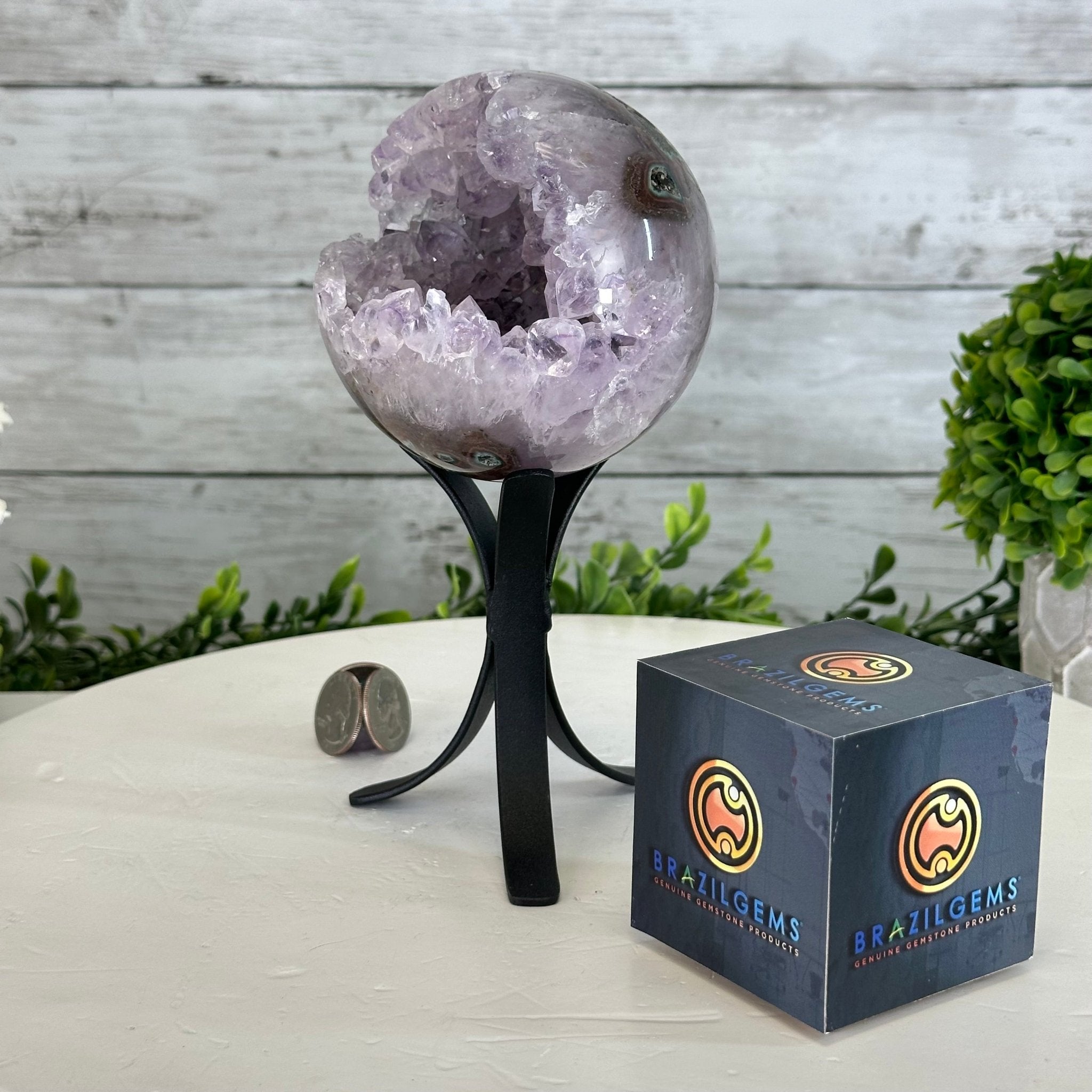 Druzy Amethyst Sphere on a Metal Stand, 2.1 lbs & 7.6" Tall #5630-0044 - Brazil GemsBrazil GemsDruzy Amethyst Sphere on a Metal Stand, 2.1 lbs & 7.6" Tall #5630-0044Spheres5630-0044