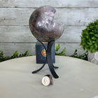 Druzy Amethyst Sphere on a Metal Stand, 2.1 lbs & 7.6" Tall #5630-0044 - Brazil GemsBrazil GemsDruzy Amethyst Sphere on a Metal Stand, 2.1 lbs & 7.6" Tall #5630-0044Spheres5630-0044