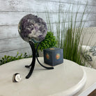 Druzy Amethyst Sphere on a Metal Stand, 3 lbs & 8.2" Tall #5630-0053 - Brazil GemsBrazil GemsDruzy Amethyst Sphere on a Metal Stand, 3 lbs & 8.2" Tall #5630-0053Spheres5630-0053