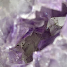 Druzy Amethyst Sphere on a Metal Stand, 4.2 lbs & 9.1" Tall #5630-0061 - Brazil GemsBrazil GemsDruzy Amethyst Sphere on a Metal Stand, 4.2 lbs & 9.1" Tall #5630-0061Spheres5630-0061