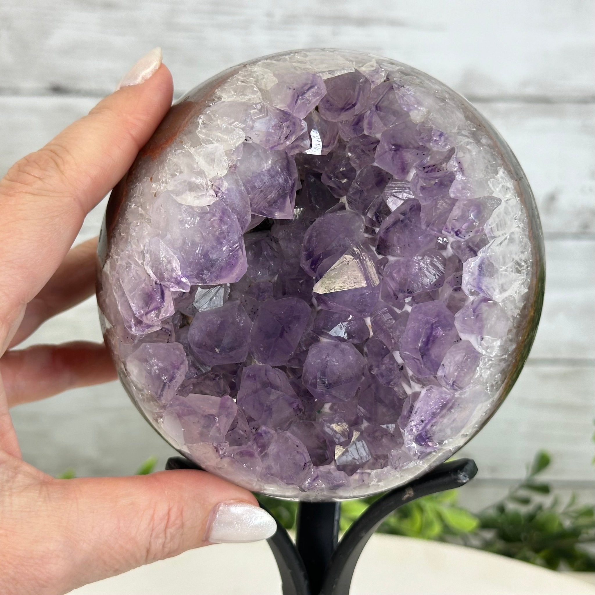 Druzy Amethyst Sphere on a Metal Stand, 4.3 lbs & 9.1" Tall #5630-0063 - Brazil GemsBrazil GemsDruzy Amethyst Sphere on a Metal Stand, 4.3 lbs & 9.1" Tall #5630-0063Spheres5630-0063