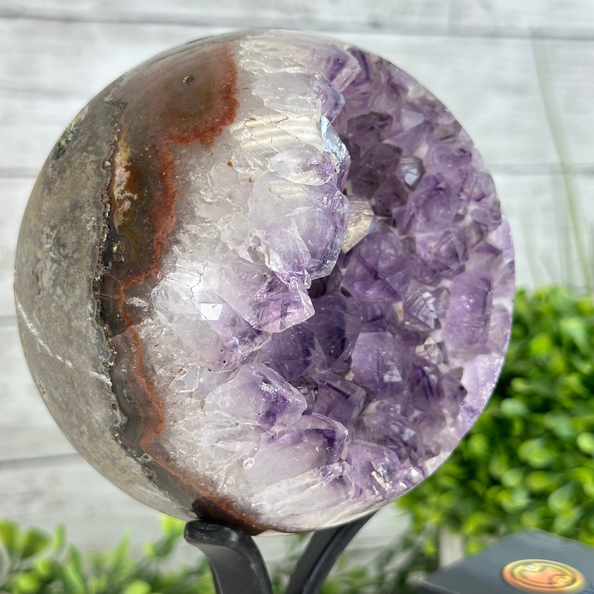 Druzy Amethyst Sphere on a Metal Stand, 4.3 lbs & 9.1" Tall #5630-0063 - Brazil GemsBrazil GemsDruzy Amethyst Sphere on a Metal Stand, 4.3 lbs & 9.1" Tall #5630-0063Spheres5630-0063