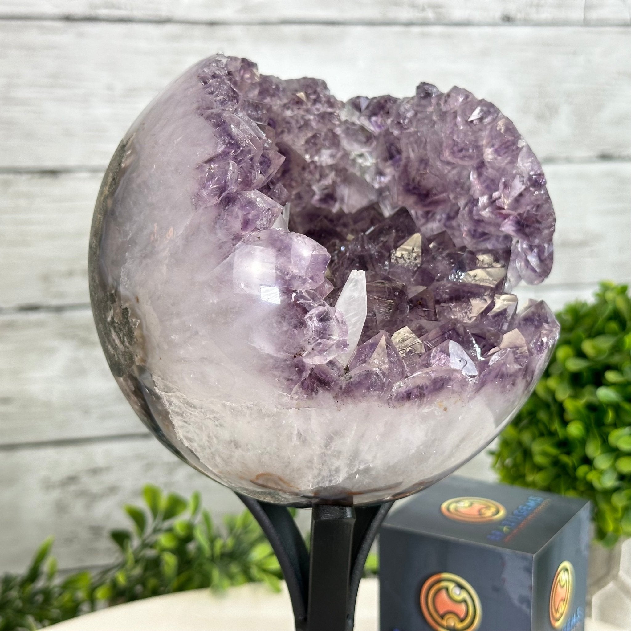 Druzy Amethyst Sphere on a Metal Stand, 5.6 lbs & 9.9" Tall #5630-0066 - Brazil GemsBrazil GemsDruzy Amethyst Sphere on a Metal Stand, 5.6 lbs & 9.9" Tall #5630-0066Spheres5630-0066