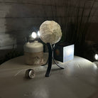Druzy White Amethyst Sphere on a Metal Stand, 1.1 lbs & 6.6" Tall #5630-0036 - Brazil GemsBrazil GemsDruzy White Amethyst Sphere on a Metal Stand, 1.1 lbs & 6.6" Tall #5630-0036Spheres5630-0036