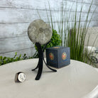 Druzy White Amethyst Sphere on a Metal Stand, 1.1 lbs & 6.6" Tall #5630-0036 - Brazil GemsBrazil GemsDruzy White Amethyst Sphere on a Metal Stand, 1.1 lbs & 6.6" Tall #5630-0036Spheres5630-0036
