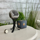 Druzy White Amethyst Sphere on a Metal Stand, 1.1 lbs & 6.7" Tall #5630-0037 - Brazil GemsBrazil GemsDruzy White Amethyst Sphere on a Metal Stand, 1.1 lbs & 6.7" Tall #5630-0037Spheres5630-0037