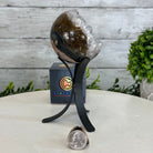 Druzy White Amethyst Sphere on a Metal Stand, 1.1 lbs & 6.7" Tall #5630-0037 - Brazil GemsBrazil GemsDruzy White Amethyst Sphere on a Metal Stand, 1.1 lbs & 6.7" Tall #5630-0037Spheres5630-0037
