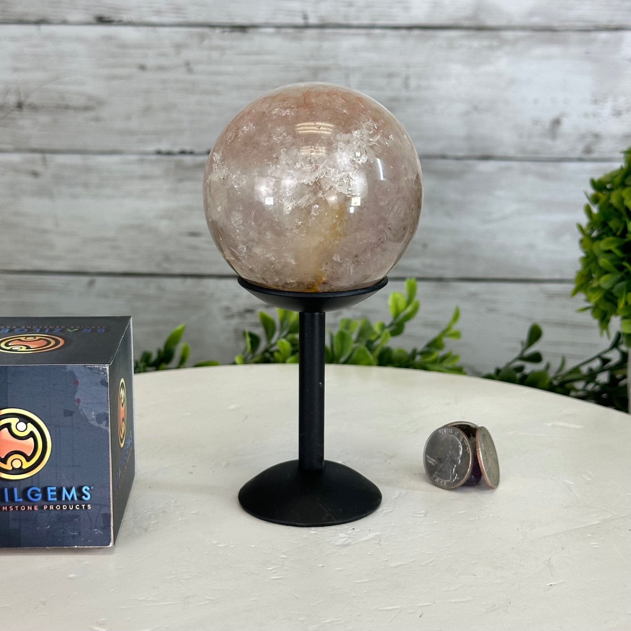 Druzy White Amethyst Sphere on a Metal Stand, 1.2 lbs & 6.2" Tall #5630-0040 - Brazil GemsBrazil GemsDruzy White Amethyst Sphere on a Metal Stand, 1.2 lbs & 6.2" Tall #5630-0040Spheres5630-0040