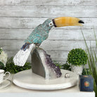 Extra Large Hand-Carved Amazonite Toucan Bird w/ Amethyst Base, 13" Tall #3006-AZTAM-010 - Brazil GemsBrazil GemsExtra Large Hand-Carved Amazonite Toucan Bird w/ Amethyst Base, 13" Tall #3006-AZTAM-010Crystal Birds3006-AZTAM-010