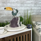 Extra Large Hand-Carved Amazonite Toucan Bird w/ Amethyst Base, 13" Tall #3006-AZTAM-010 - Brazil GemsBrazil GemsExtra Large Hand-Carved Amazonite Toucan Bird w/ Amethyst Base, 13" Tall #3006-AZTAM-010Crystal Birds3006-AZTAM-010