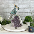 Extra Large Hand-Carved Amazonite Toucan Bird w/ Amethyst Base, 13" Tall #3006-AZTAM-010 - Brazil GemsBrazil GemsExtra Large Hand-Carved Amazonite Toucan Bird w/ Amethyst Base, 13" Tall #3006-AZTAM-010Crystal Birds3006-AZTAM-010