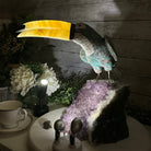 Extra Large Hand-Carved Amazonite Toucan Bird w/ Amethyst Base, 13" Tall #3006-AZTAM-010 - Brazil GemsBrazil GemsExtra Large Hand-Carved Amazonite Toucan Bird w/ Amethyst Base, 13" Tall #3006-AZTAM-010Crystal Birds3006-AZTAM-010