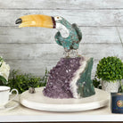 Extra Large Hand-Carved Amazonite Toucan Bird w/ Amethyst Base, 13" Tall #3006-AZTAM-010 - Brazil GemsBrazil GemsExtra Large Hand-Carved Amazonite Toucan Bird w/ Amethyst Base, 13" Tall #3006-AZTAM-010Crystal Birds3006-AZTAM-010
