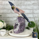Extra Large Hand-Carved Rose Quartz Cockatoo Bird on an Amethyst Base, 18" Tall #3006-RQCAM-005 - Brazil GemsBrazil GemsExtra Large Hand-Carved Rose Quartz Cockatoo Bird on an Amethyst Base, 18" Tall #3006-RQCAM-005Crystal Birds3006-RQCAM-005