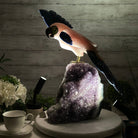 Extra Large Hand-Carved Rose Quartz Cockatoo Bird on an Amethyst Base, 18" Tall #3006-RQCAM-005 - Brazil GemsBrazil GemsExtra Large Hand-Carved Rose Quartz Cockatoo Bird on an Amethyst Base, 18" Tall #3006-RQCAM-005Crystal Birds3006-RQCAM-005
