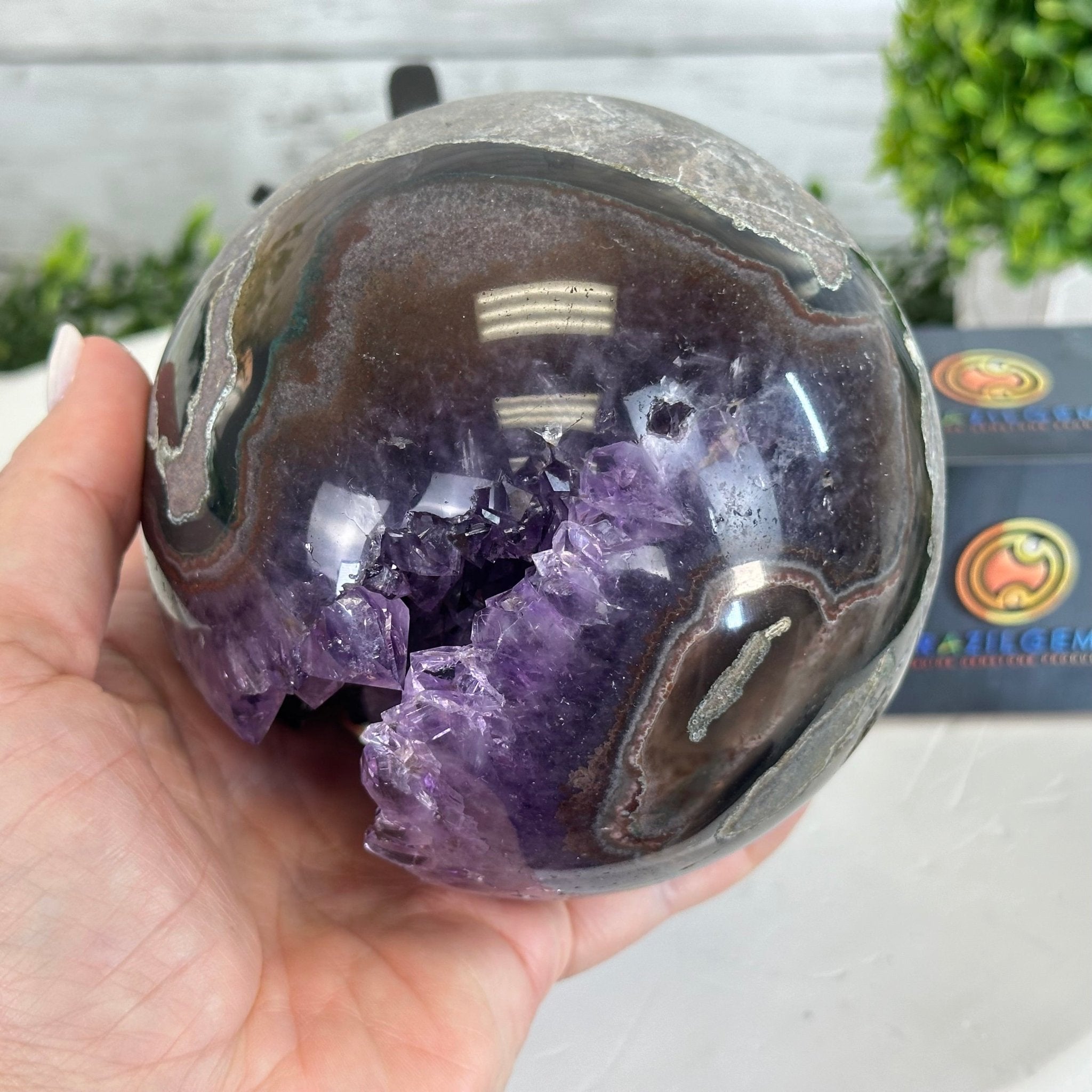 Extra Plus Druzy Amethyst Sphere on a Metal Stand, 4.3 lbs & 9.1" Tall #5630-0064 - Brazil GemsBrazil GemsExtra Plus Druzy Amethyst Sphere on a Metal Stand, 4.3 lbs & 9.1" Tall #5630-0064Spheres5630-0064