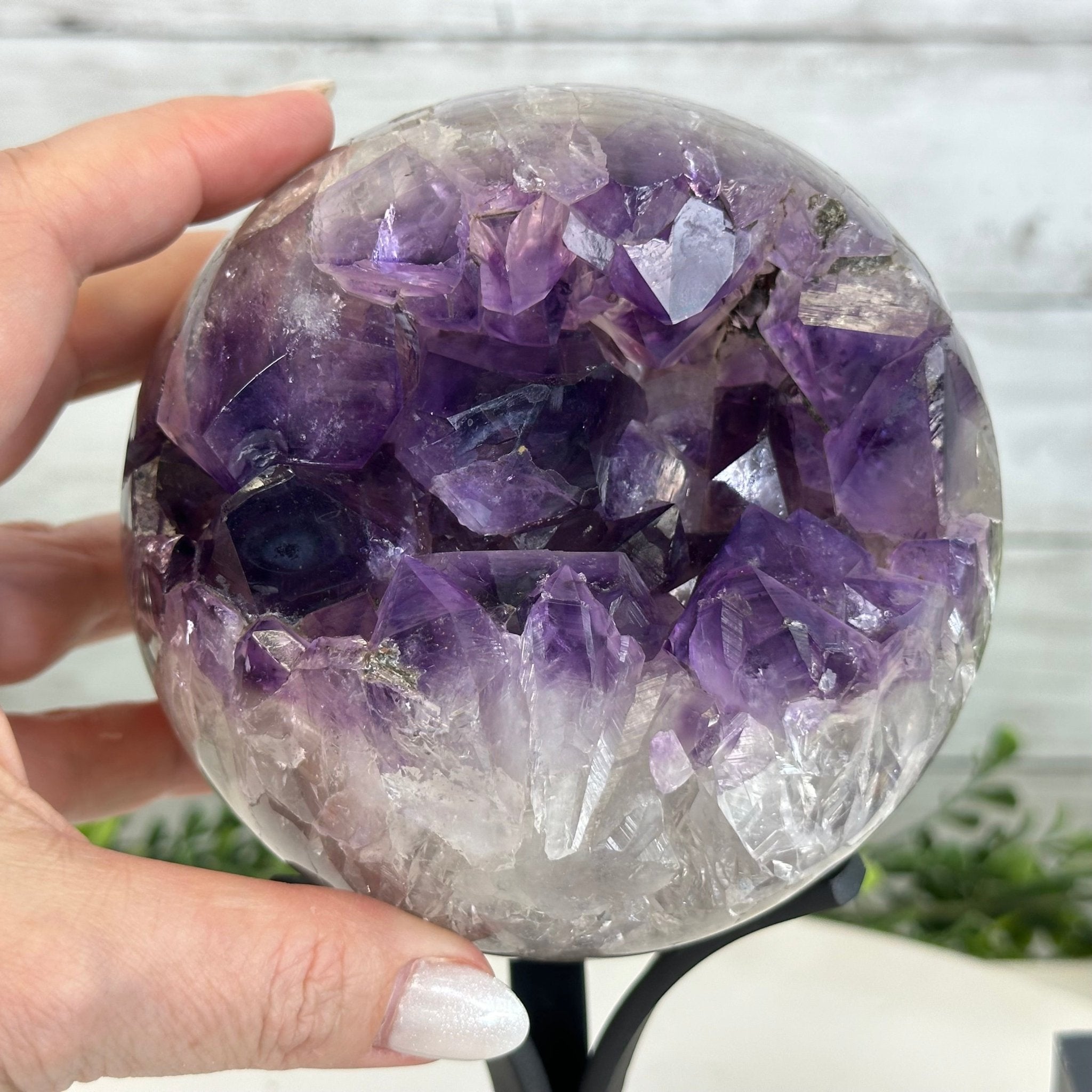 Extra Plus Druzy Amethyst Sphere on a Metal Stand, 4.4 lbs & 9" Tall #5630-0065 - Brazil GemsBrazil GemsExtra Plus Druzy Amethyst Sphere on a Metal Stand, 4.4 lbs & 9" Tall #5630-0065Spheres5630-0065