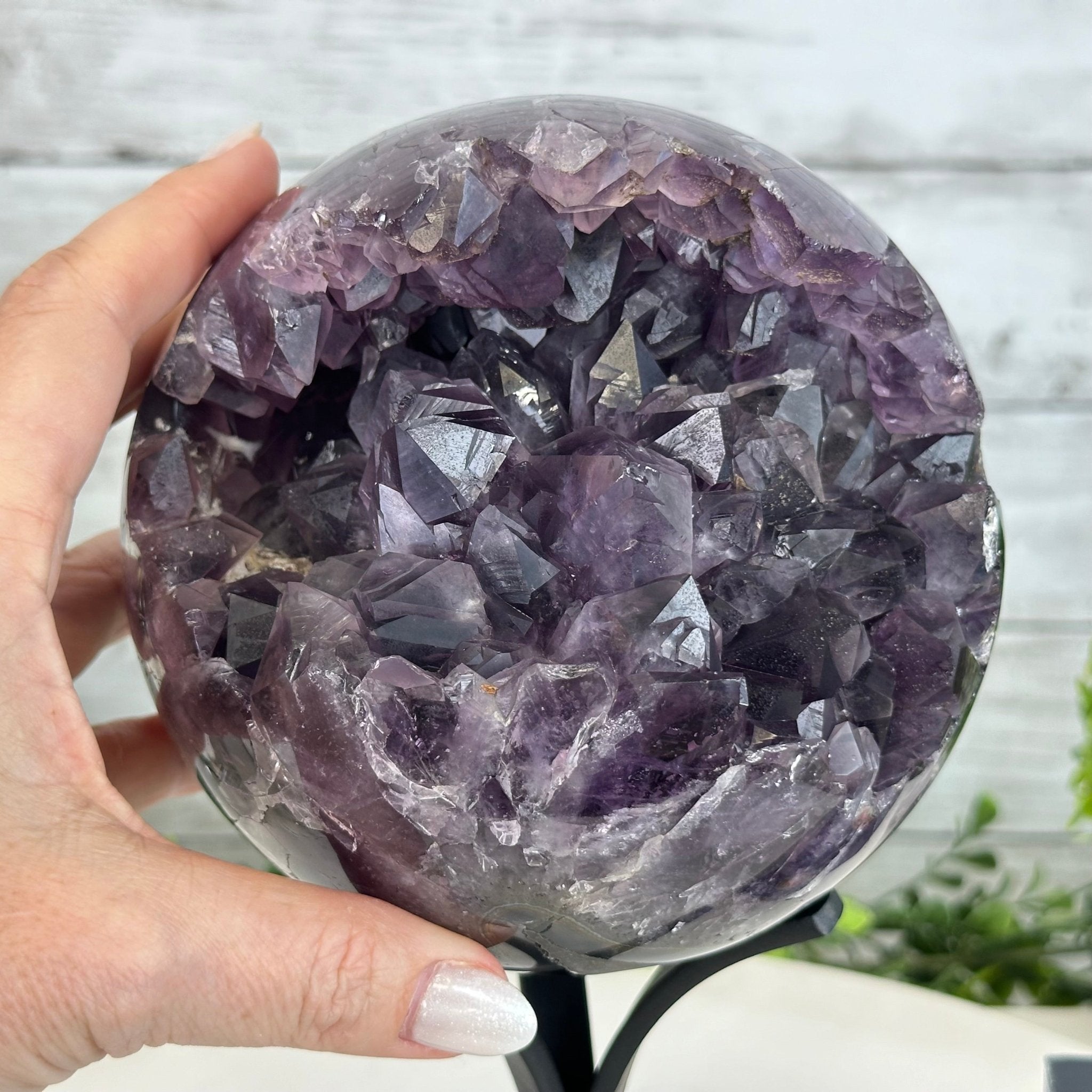 Extra Plus Druzy Amethyst Sphere on a Metal Stand, 6.7 lbs & 9.9" Tall #5630-0067 - Brazil GemsBrazil GemsExtra Plus Druzy Amethyst Sphere on a Metal Stand, 6.7 lbs & 9.9" Tall #5630-0067Spheres5630-0067