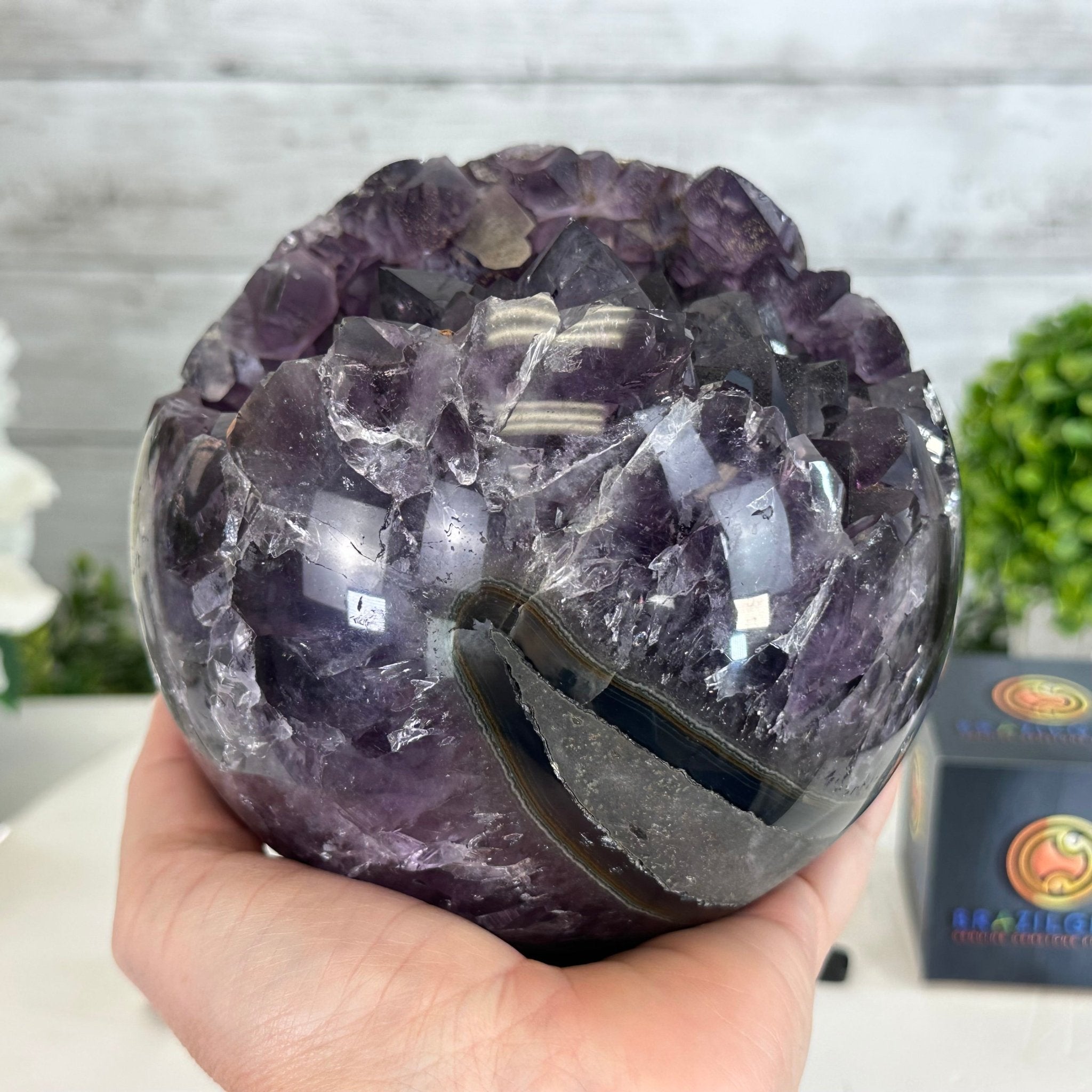 Extra Plus Druzy Amethyst Sphere on a Metal Stand, 6.7 lbs & 9.9" Tall #5630-0067 - Brazil GemsBrazil GemsExtra Plus Druzy Amethyst Sphere on a Metal Stand, 6.7 lbs & 9.9" Tall #5630-0067Spheres5630-0067