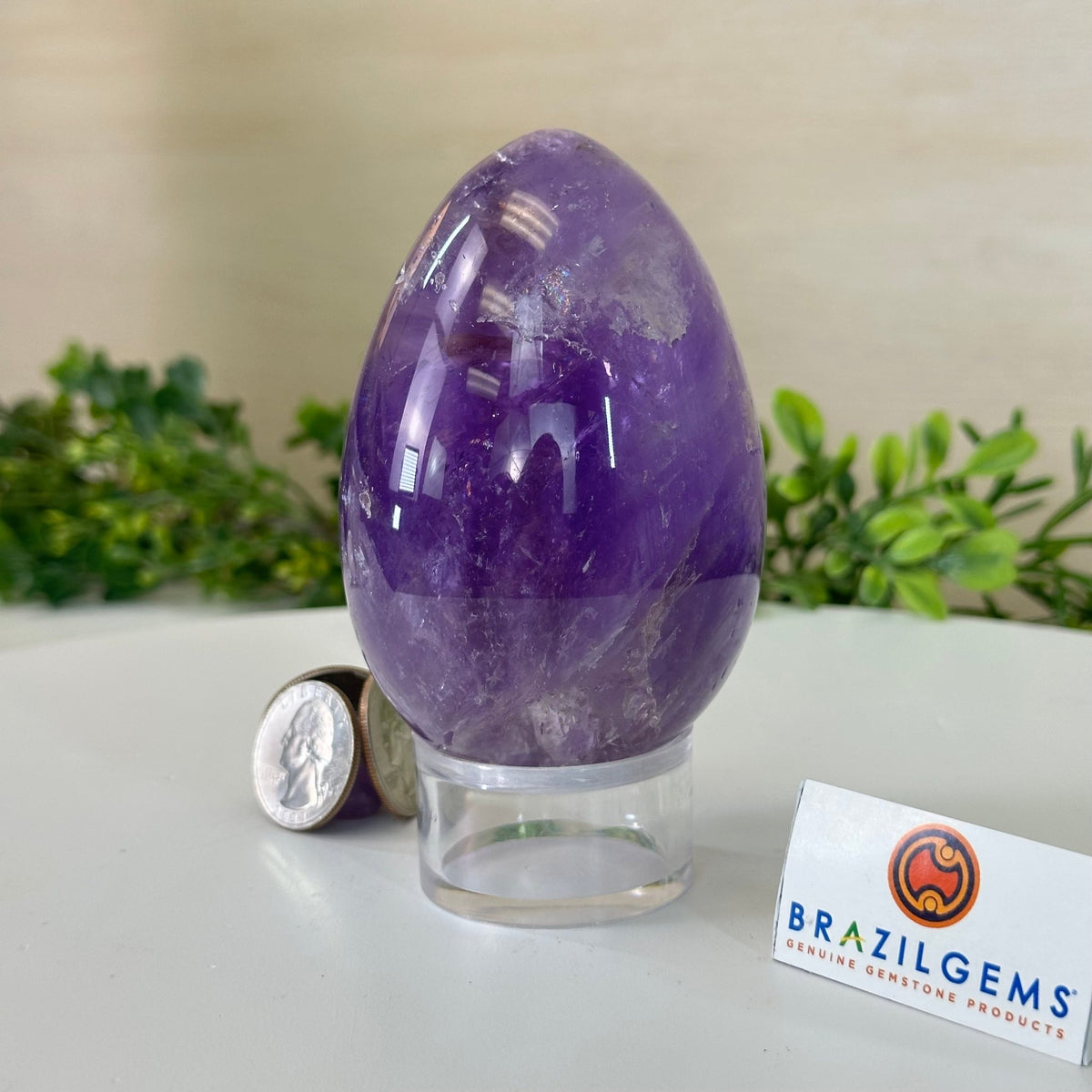 Extra Plus Polished Amethyst Egg w/ Acrylic Stand, 4.4” Tall #3995AM - 004 - Brazil GemsBrazil GemsExtra Plus Polished Amethyst Egg w/ Acrylic Stand, 4.4” Tall #3995AM - 004Freeform & Unique Shapes3995AM - 004