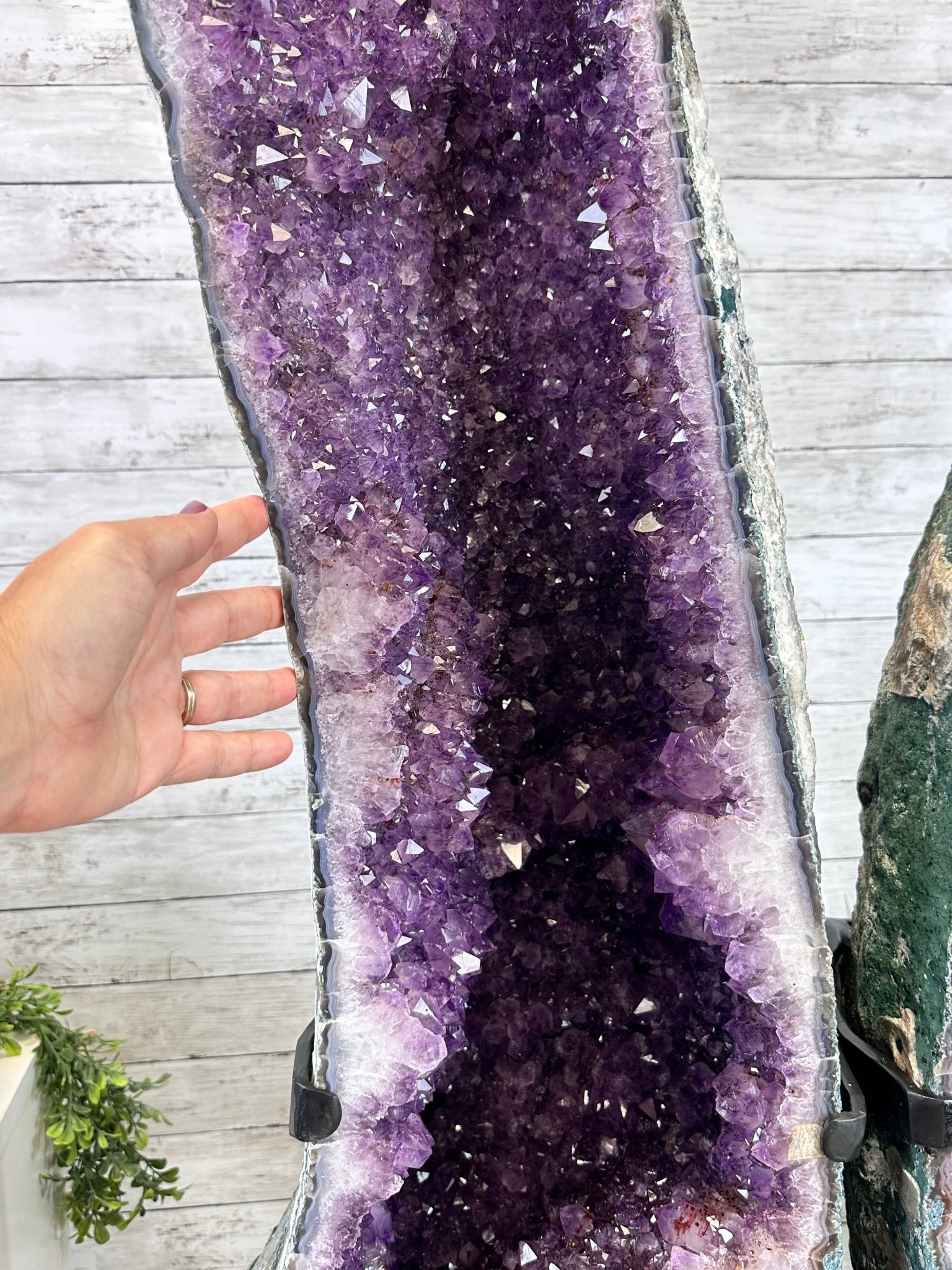 Extra Plus Quality Amethyst Butterfly Wings 311 lbs & 72" Tall #5493-0045 - Brazil GemsBrazil GemsExtra Plus Quality Amethyst Butterfly Wings 311 lbs & 72" Tall #5493-0045Amethyst Butterfly Wings5493-0045