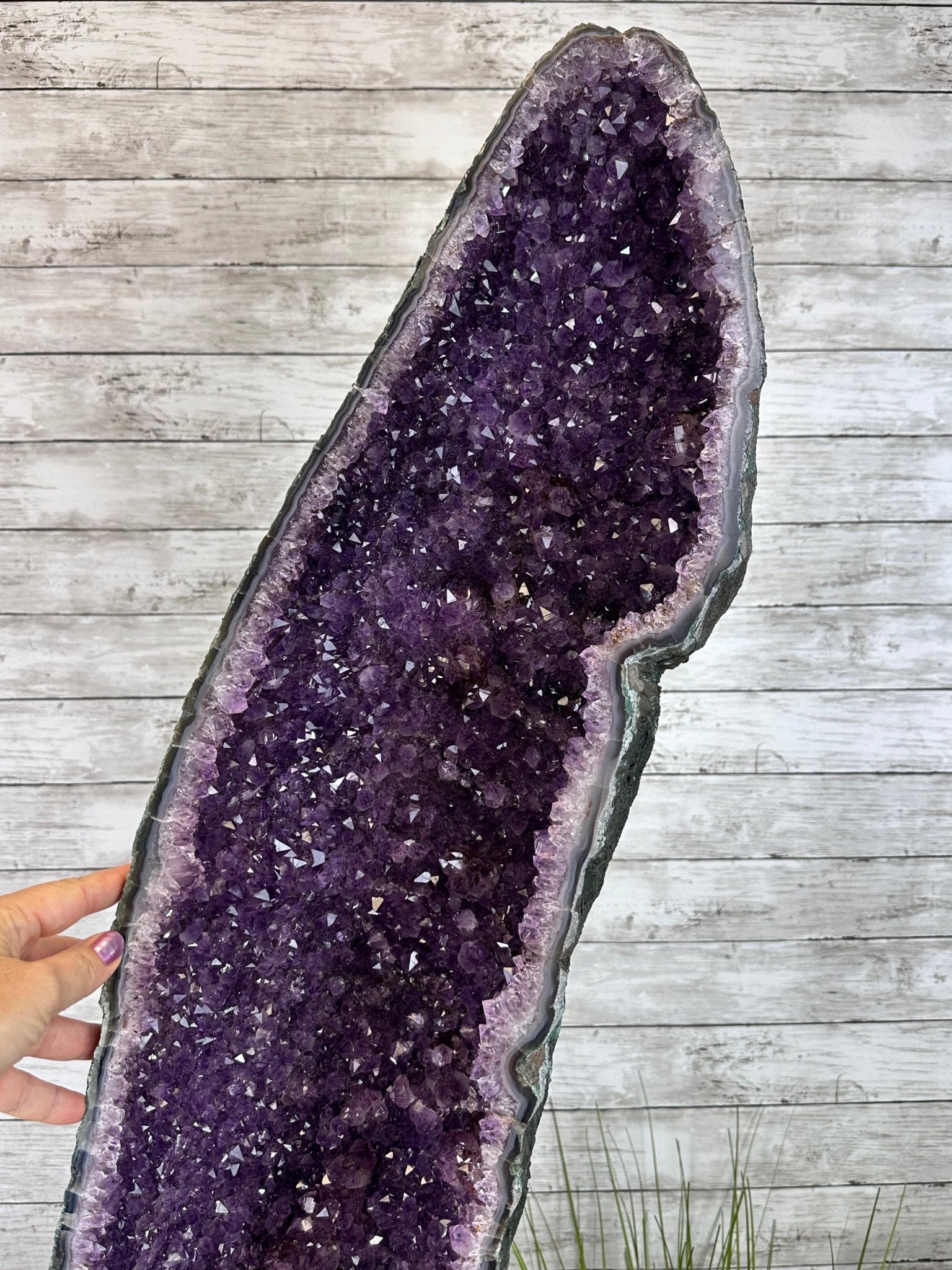 Extra Plus Quality Amethyst Butterfly Wings 311 lbs & 72" Tall #5493-0045 - Brazil GemsBrazil GemsExtra Plus Quality Amethyst Butterfly Wings 311 lbs & 72" Tall #5493-0045Amethyst Butterfly Wings5493-0045