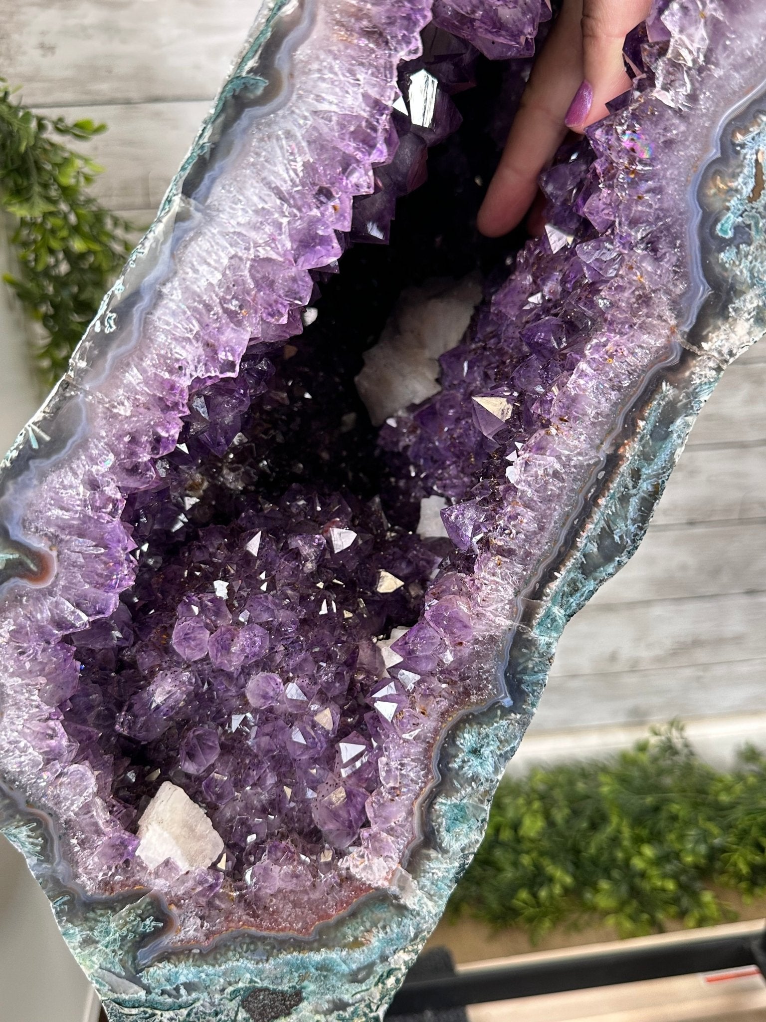 Extra Plus Quality Amethyst Butterfly Wings 311 lbs & 72" Tall #5493-0045 - Brazil GemsBrazil GemsExtra Plus Quality Amethyst Butterfly Wings 311 lbs & 72" Tall #5493-0045Amethyst Butterfly Wings5493-0045