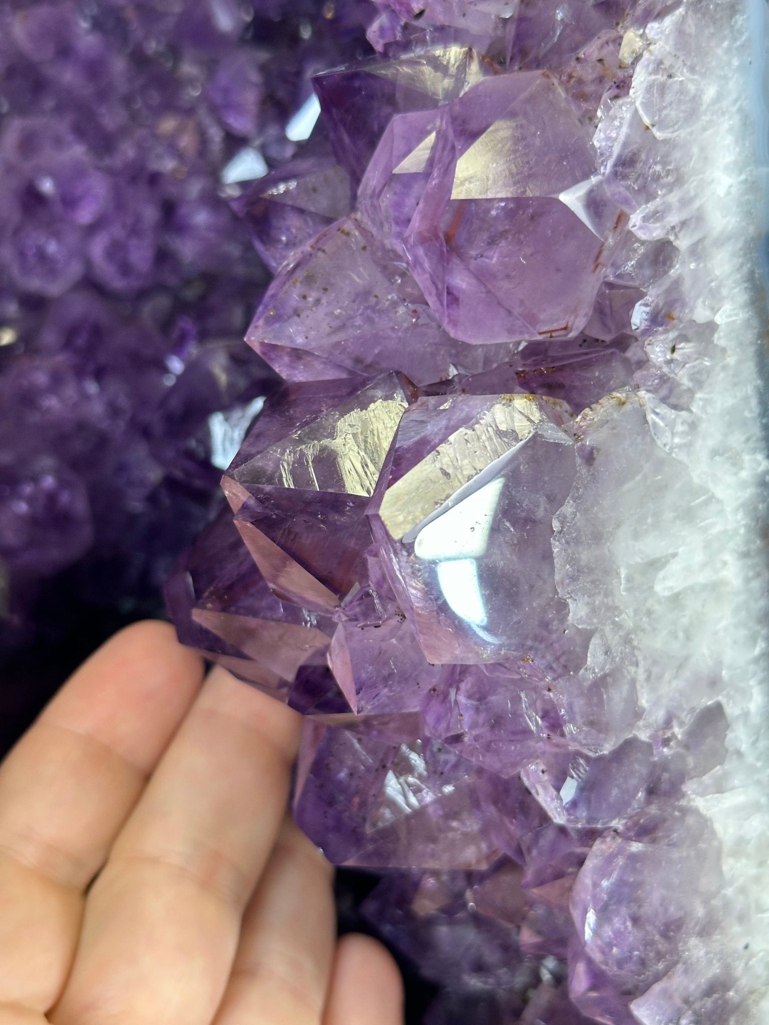 Extra Plus Quality Amethyst Butterfly Wings 311 lbs & 72" Tall #5493-0045 - Brazil GemsBrazil GemsExtra Plus Quality Amethyst Butterfly Wings 311 lbs & 72" Tall #5493-0045Amethyst Butterfly Wings5493-0045