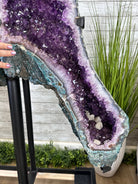 Extra Plus Quality Amethyst Butterfly Wings 311 lbs & 72" Tall #5493-0045 - Brazil GemsBrazil GemsExtra Plus Quality Amethyst Butterfly Wings 311 lbs & 72" Tall #5493-0045Amethyst Butterfly Wings5493-0045