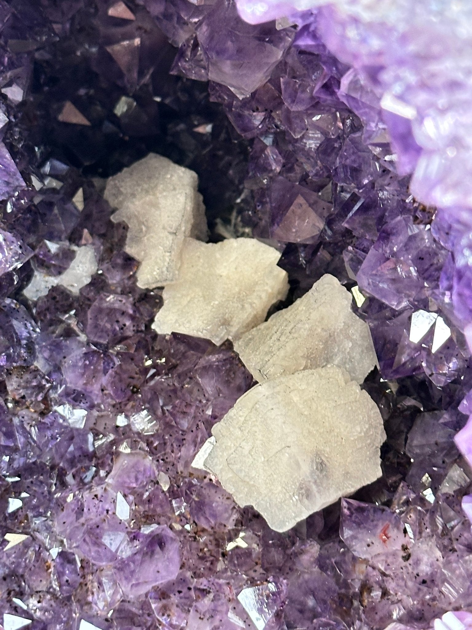 Extra Plus Quality Amethyst Butterfly Wings 311 lbs & 72" Tall #5493-0045 - Brazil GemsBrazil GemsExtra Plus Quality Amethyst Butterfly Wings 311 lbs & 72" Tall #5493-0045Amethyst Butterfly Wings5493-0045