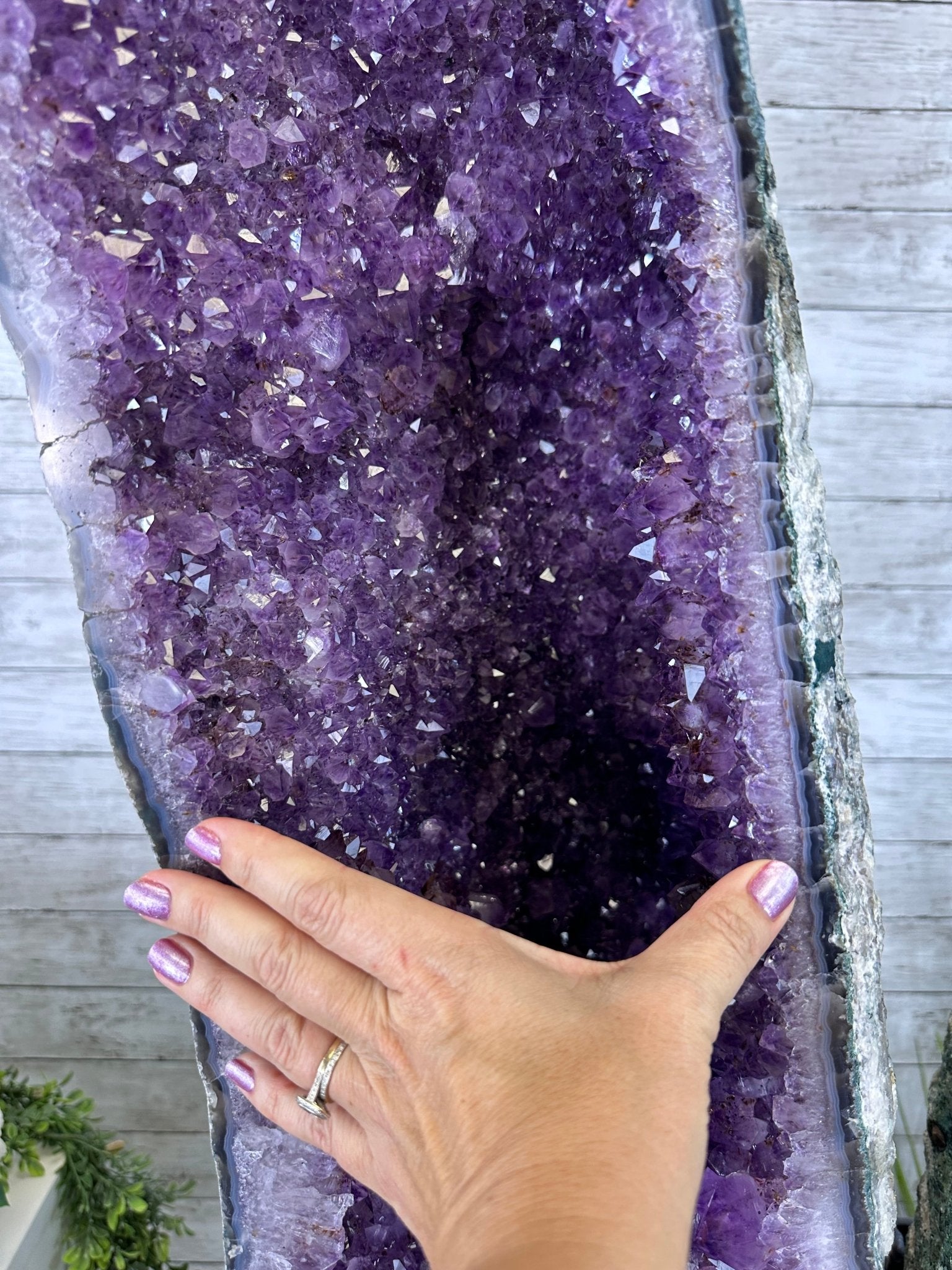 Extra Plus Quality Amethyst Butterfly Wings 311 lbs & 72" Tall #5493-0045 - Brazil GemsBrazil GemsExtra Plus Quality Amethyst Butterfly Wings 311 lbs & 72" Tall #5493-0045Amethyst Butterfly Wings5493-0045