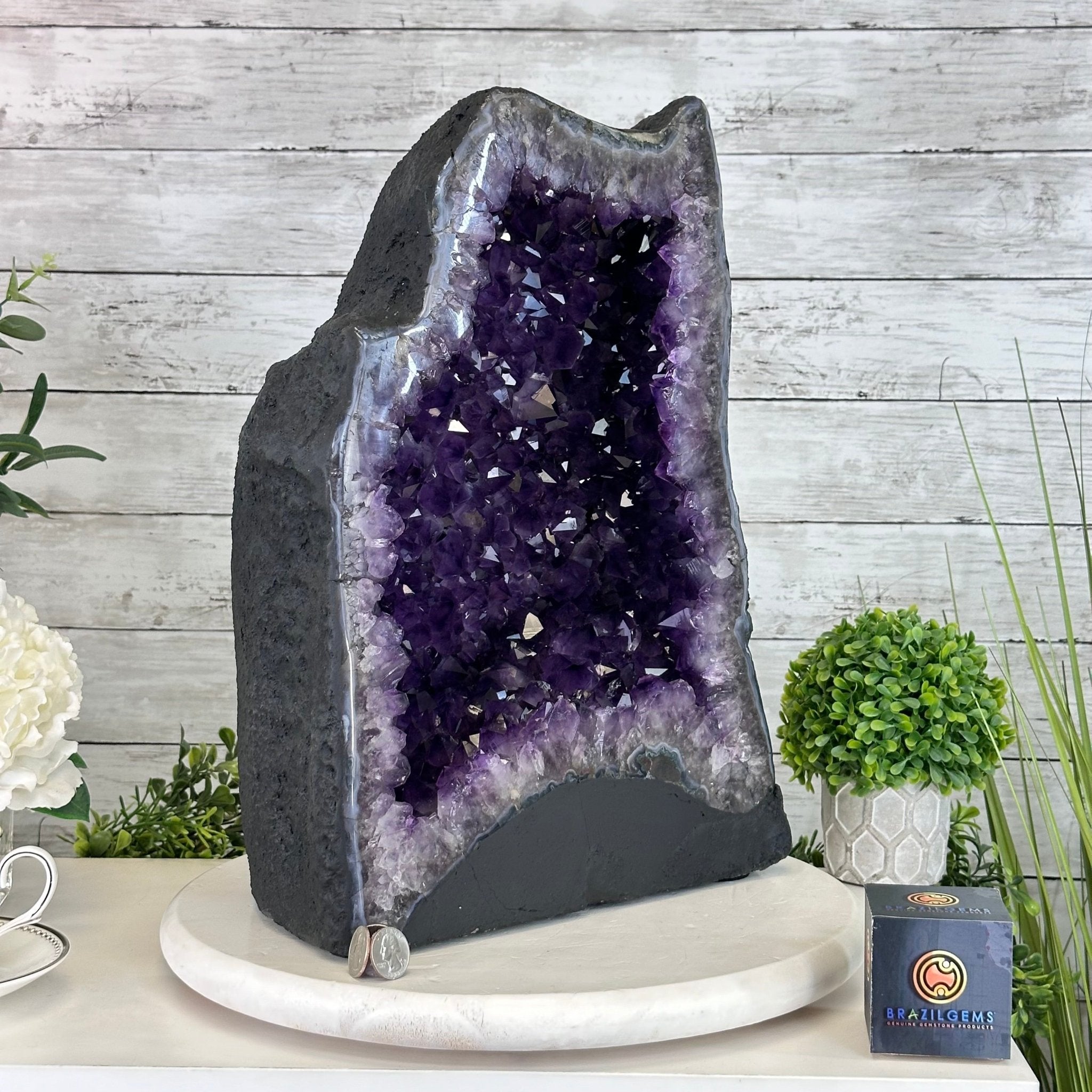Extra Plus Quality Amethyst Cathedral, 61.8 lbs & 16.9" Tall #5601 - 1323 - Brazil GemsBrazil GemsExtra Plus Quality Amethyst Cathedral, 61.8 lbs & 16.9" Tall #5601 - 1323Cathedrals5601 - 1323