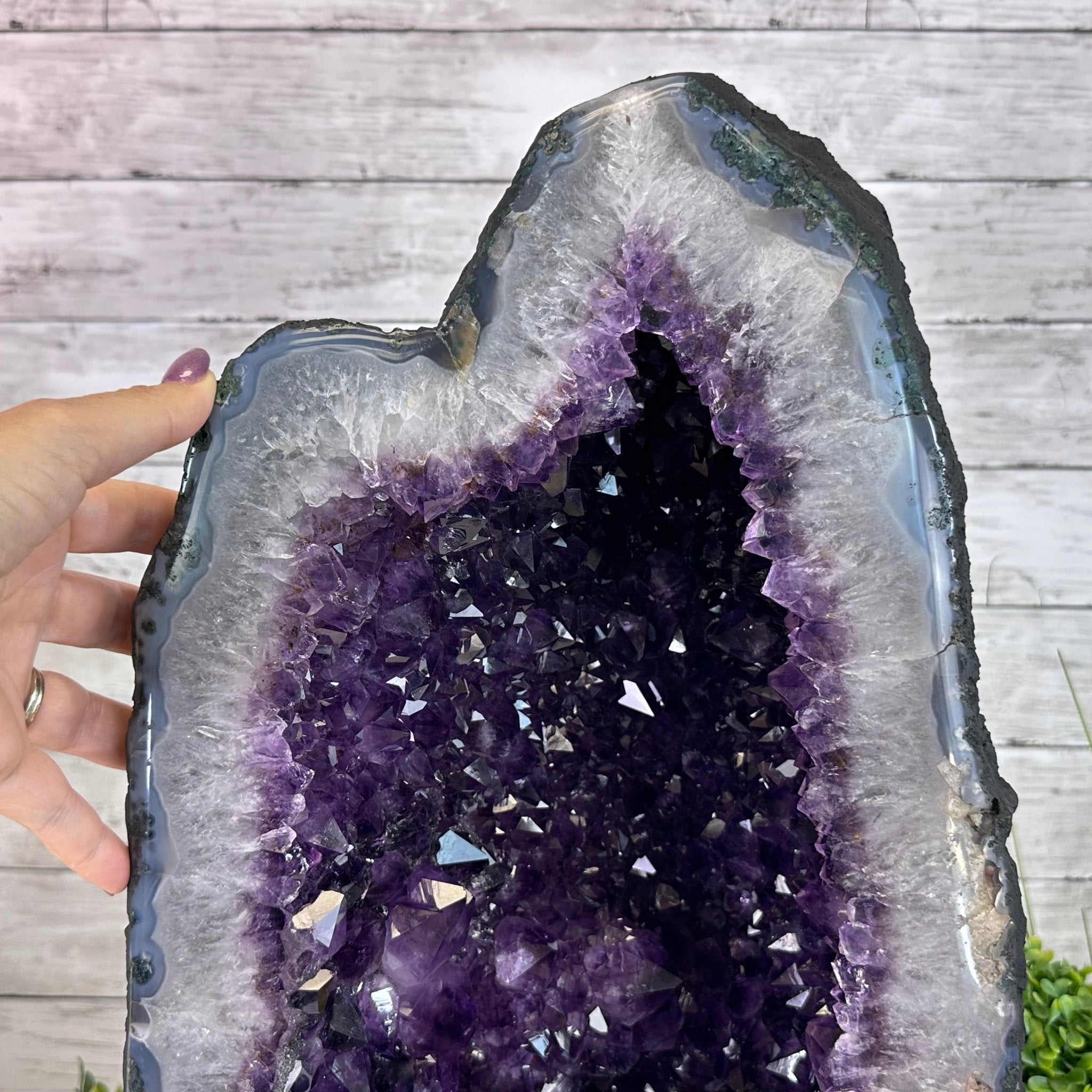 Extra Plus Quality Amethyst Cathedral, 67.4 lbs & 19" Tall #5601 - 1325 - Brazil GemsBrazil GemsExtra Plus Quality Amethyst Cathedral, 67.4 lbs & 19" Tall #5601 - 1325Cathedrals5601 - 1325