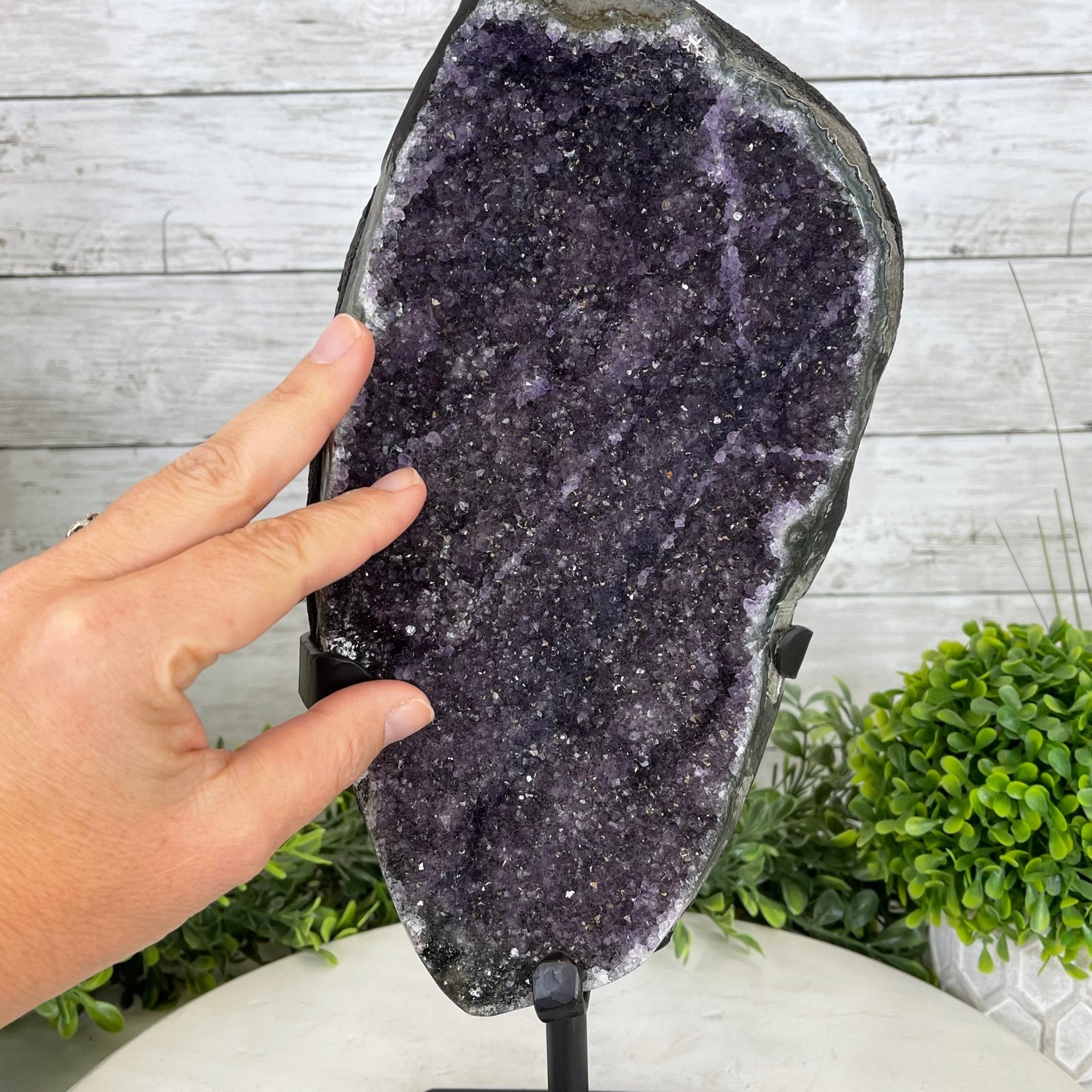 Extra Plus Quality Amethyst Druse Cluster on Metal Stand, 12.5 lbs & 14" tall #5491-0046 by Brazil Gems - Brazil GemsBrazil GemsExtra Plus Quality Amethyst Druse Cluster on Metal Stand, 12.5 lbs & 14" tall #5491-0046 by Brazil GemsClusters on Fixed Bases5491-0046