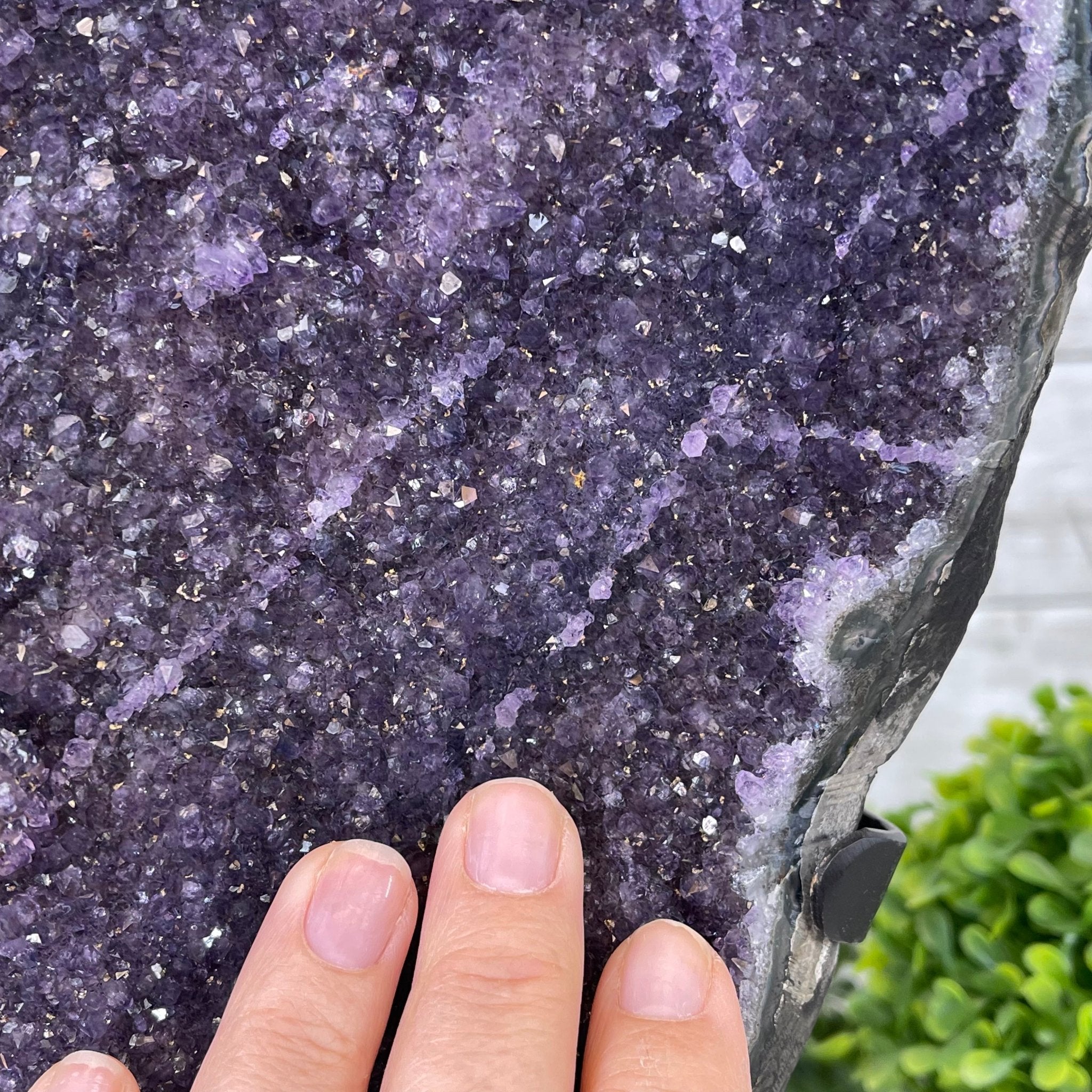 Extra Plus Quality Amethyst Druse Cluster on Metal Stand, 12.5 lbs & 14" tall #5491-0046 by Brazil Gems - Brazil GemsBrazil GemsExtra Plus Quality Amethyst Druse Cluster on Metal Stand, 12.5 lbs & 14" tall #5491-0046 by Brazil GemsClusters on Fixed Bases5491-0046
