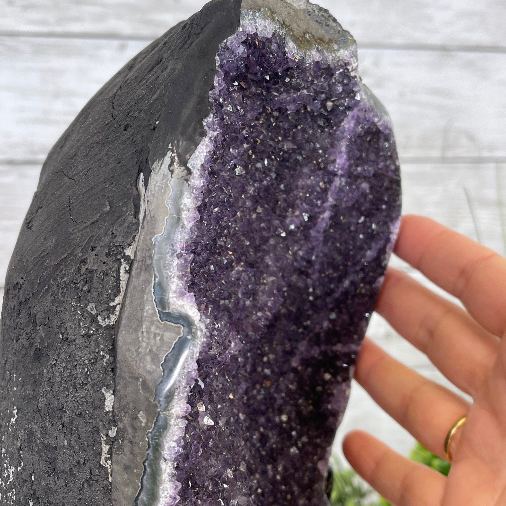 Extra Plus Quality Amethyst Druse Cluster on Metal Stand, 12.5 lbs & 14" tall #5491-0046 by Brazil Gems - Brazil GemsBrazil GemsExtra Plus Quality Amethyst Druse Cluster on Metal Stand, 12.5 lbs & 14" tall #5491-0046 by Brazil GemsClusters on Fixed Bases5491-0046