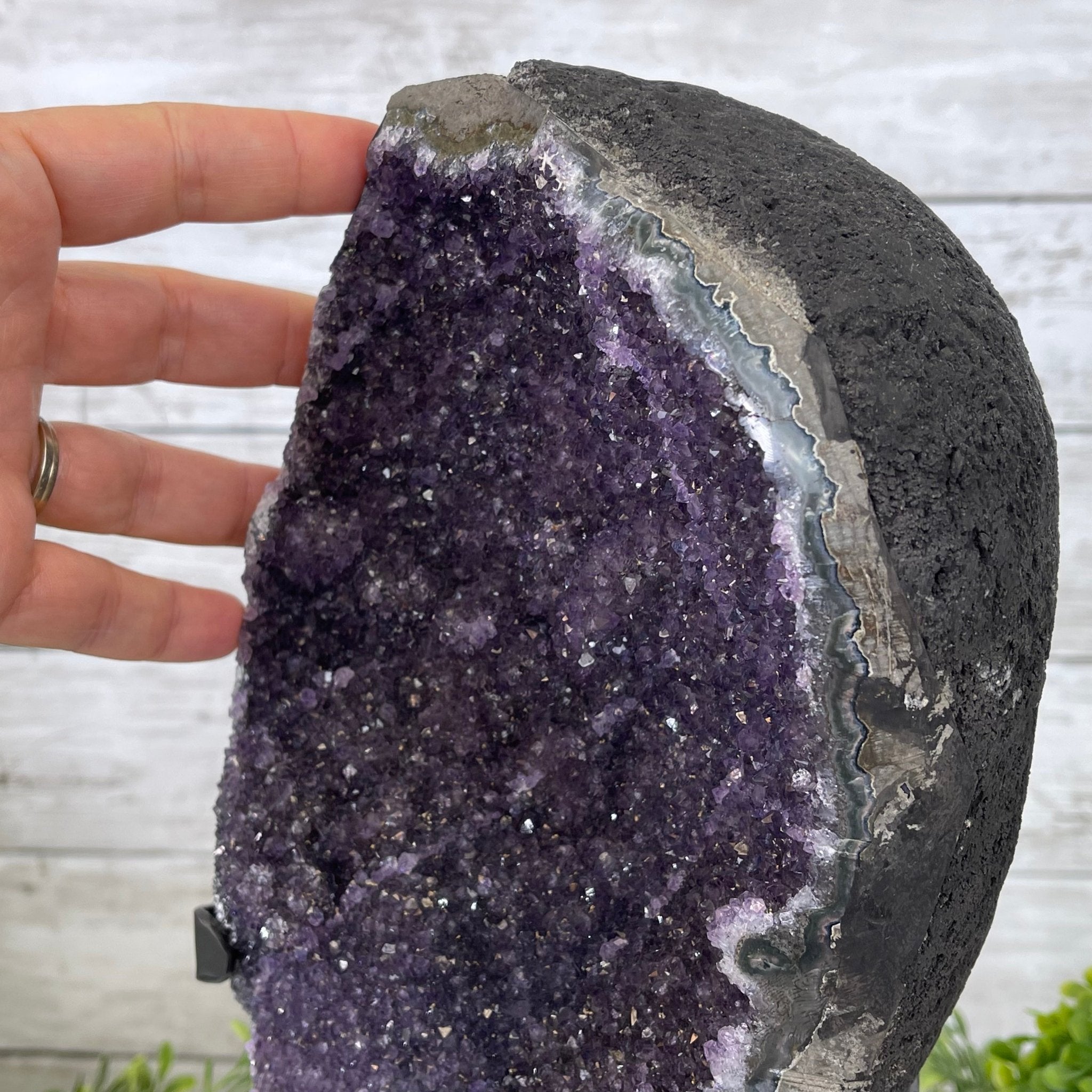 Extra Plus Quality Amethyst Druse Cluster on Metal Stand, 12.5 lbs & 14" tall #5491-0046 by Brazil Gems - Brazil GemsBrazil GemsExtra Plus Quality Amethyst Druse Cluster on Metal Stand, 12.5 lbs & 14" tall #5491-0046 by Brazil GemsClusters on Fixed Bases5491-0046
