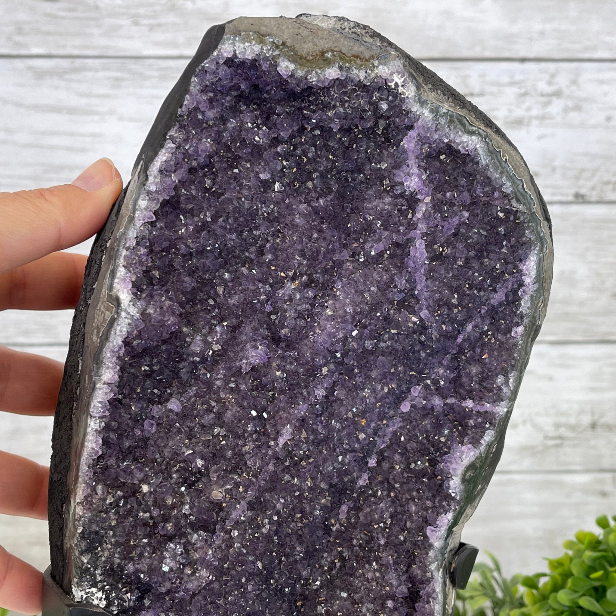 Extra Plus Quality Amethyst Druse Cluster on Metal Stand, 12.5 lbs & 14" tall #5491-0046 by Brazil Gems - Brazil GemsBrazil GemsExtra Plus Quality Amethyst Druse Cluster on Metal Stand, 12.5 lbs & 14" tall #5491-0046 by Brazil GemsClusters on Fixed Bases5491-0046