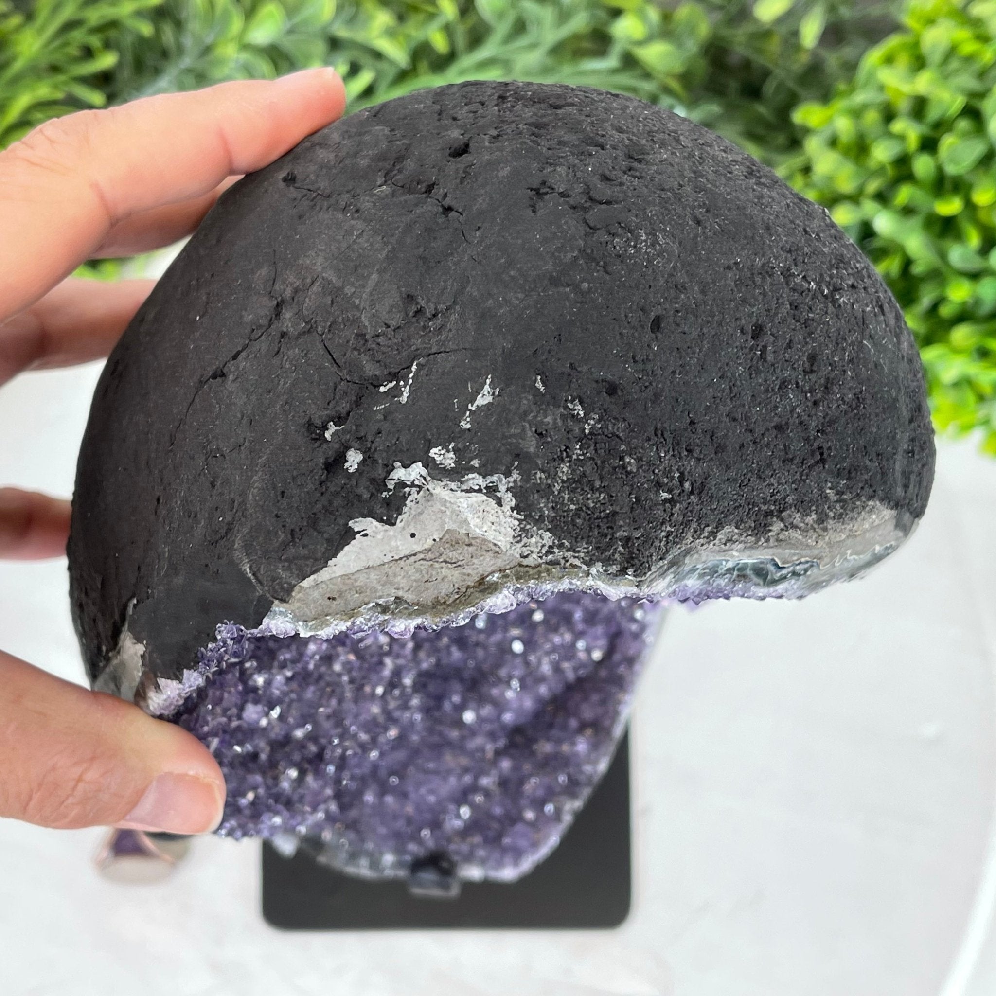 Extra Plus Quality Amethyst Druse Cluster on Metal Stand, 12.5 lbs & 14" tall #5491-0046 by Brazil Gems - Brazil GemsBrazil GemsExtra Plus Quality Amethyst Druse Cluster on Metal Stand, 12.5 lbs & 14" tall #5491-0046 by Brazil GemsClusters on Fixed Bases5491-0046
