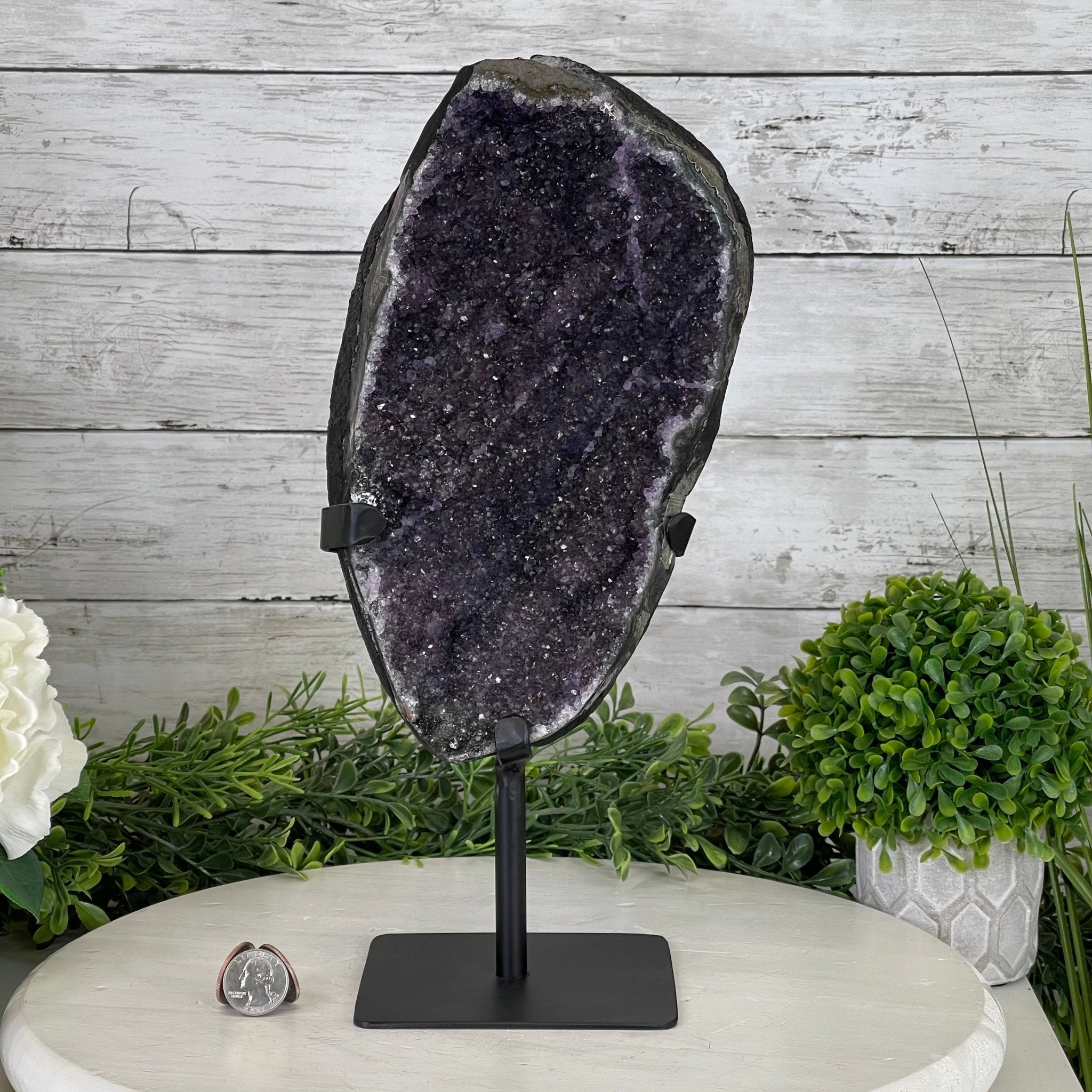 Extra Plus Quality Amethyst Druse Cluster on Metal Stand, 12.5 lbs & 14" tall #5491-0046 by Brazil Gems - Brazil GemsBrazil GemsExtra Plus Quality Amethyst Druse Cluster on Metal Stand, 12.5 lbs & 14" tall #5491-0046 by Brazil GemsClusters on Fixed Bases5491-0046