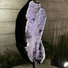 Extra Plus Quality Amethyst Druse Cluster on Metal Stand, 12.5 lbs & 14" tall #5491-0046 by Brazil Gems - Brazil GemsBrazil GemsExtra Plus Quality Amethyst Druse Cluster on Metal Stand, 12.5 lbs & 14" tall #5491-0046 by Brazil GemsClusters on Fixed Bases5491-0046