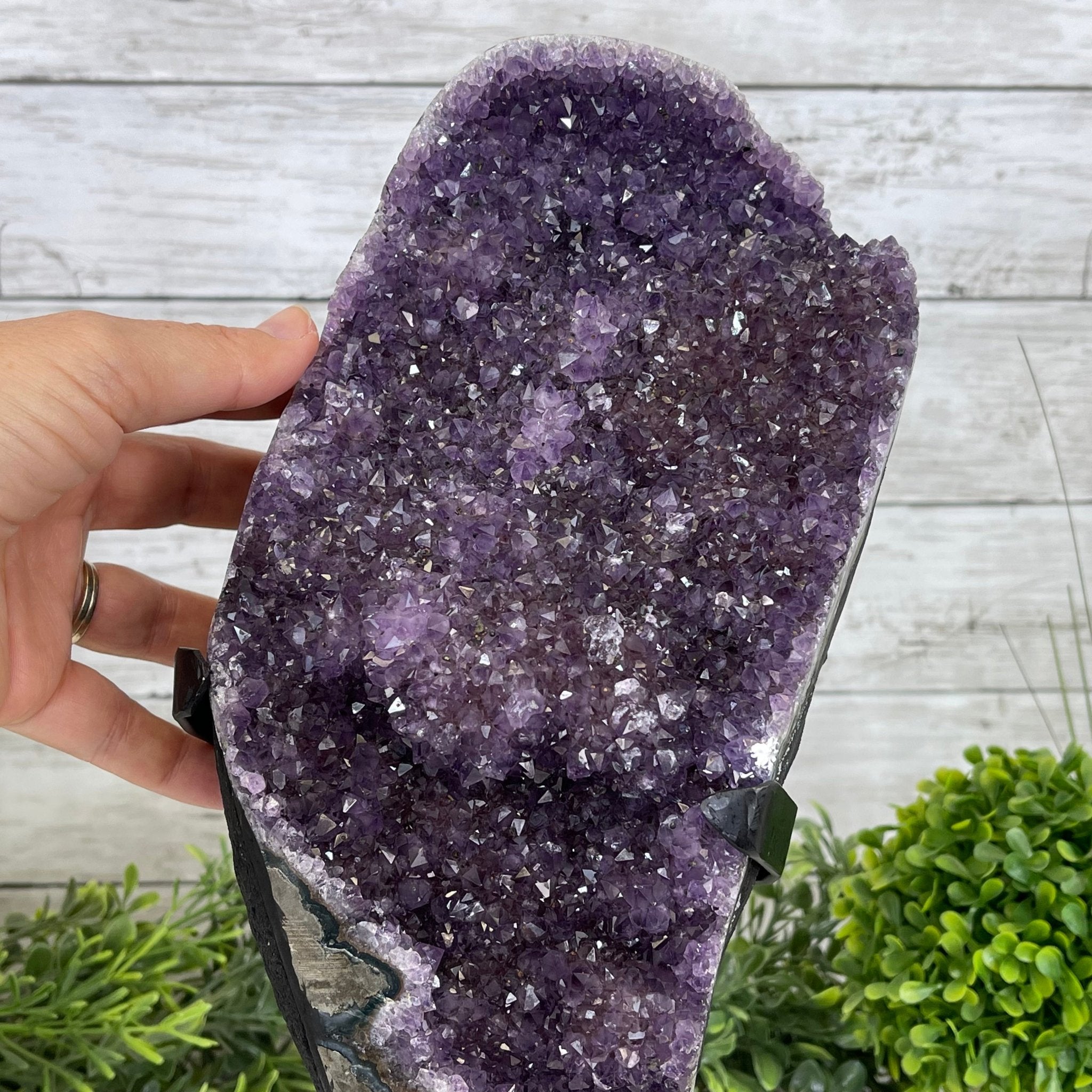 Extra Plus Quality Amethyst Druse Cluster on Metal Stand, 14.4 lbs & 14.25" tall #5491-0056 by Brazil Gems - Brazil GemsBrazil GemsExtra Plus Quality Amethyst Druse Cluster on Metal Stand, 14.4 lbs & 14.25" tall #5491-0056 by Brazil GemsClusters on Fixed Bases5491-0056